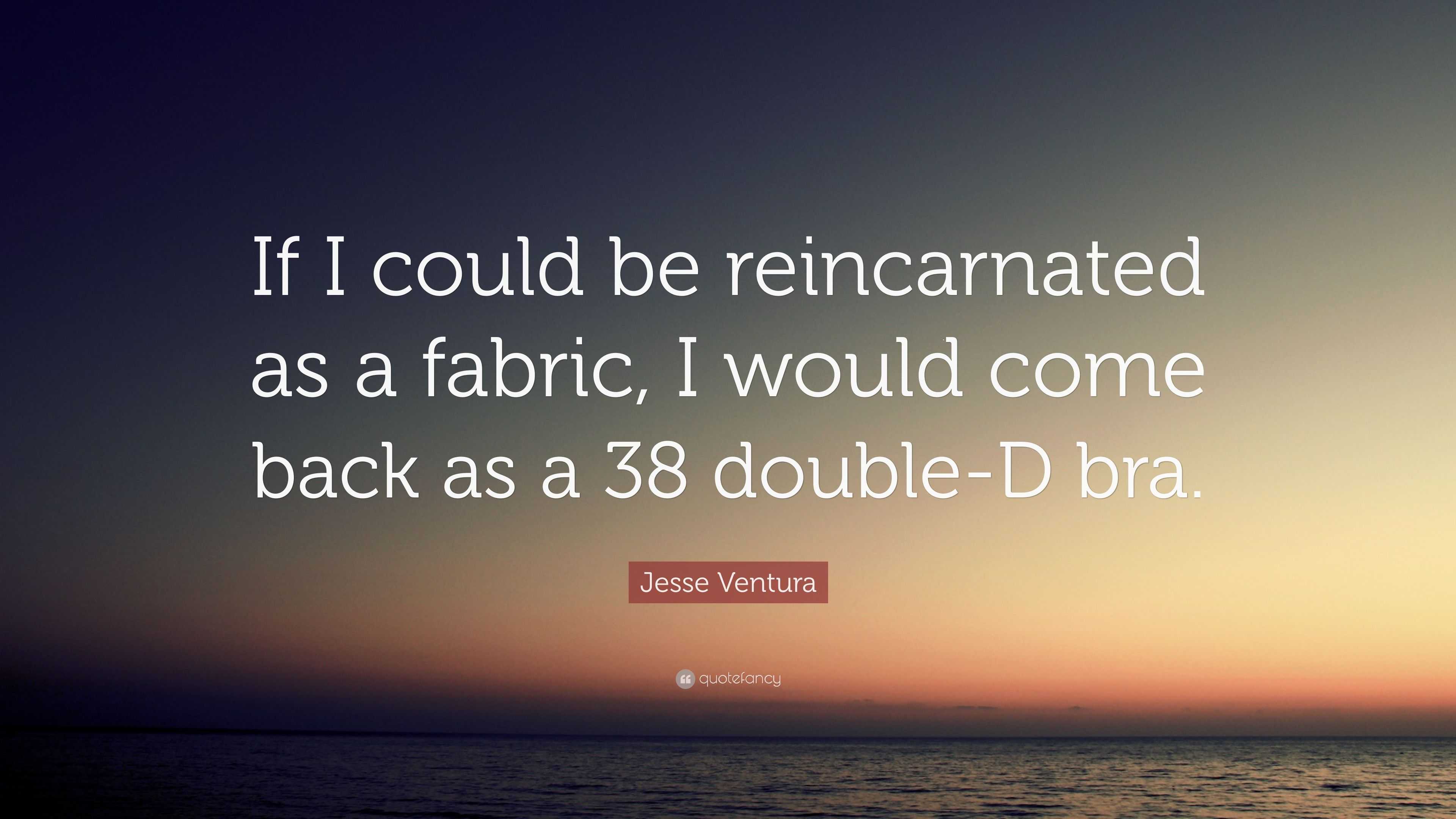 Jesse Ventura Quote: “If I could be reincarnated as a fabric, I would come  back as