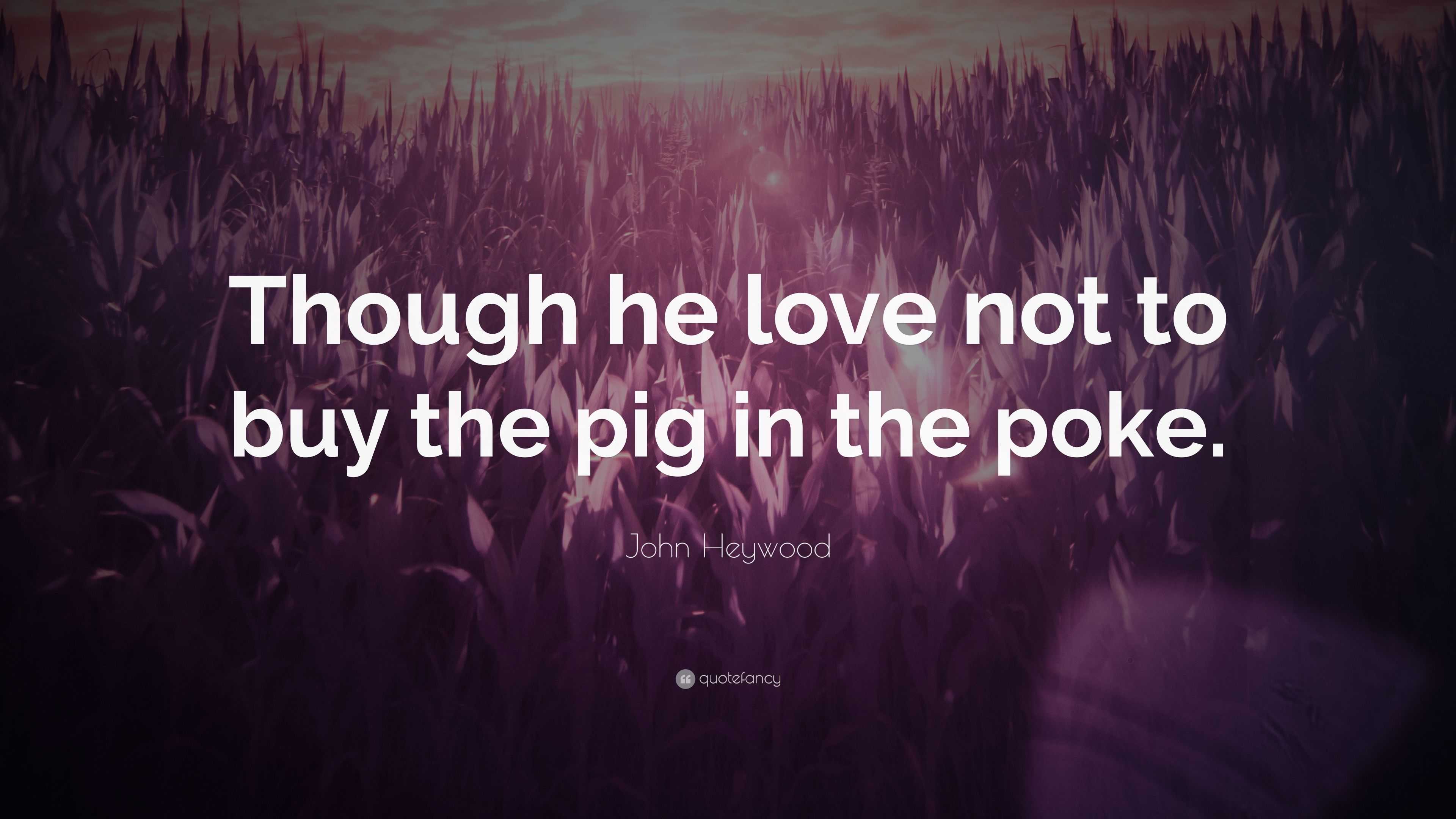pig love quotes