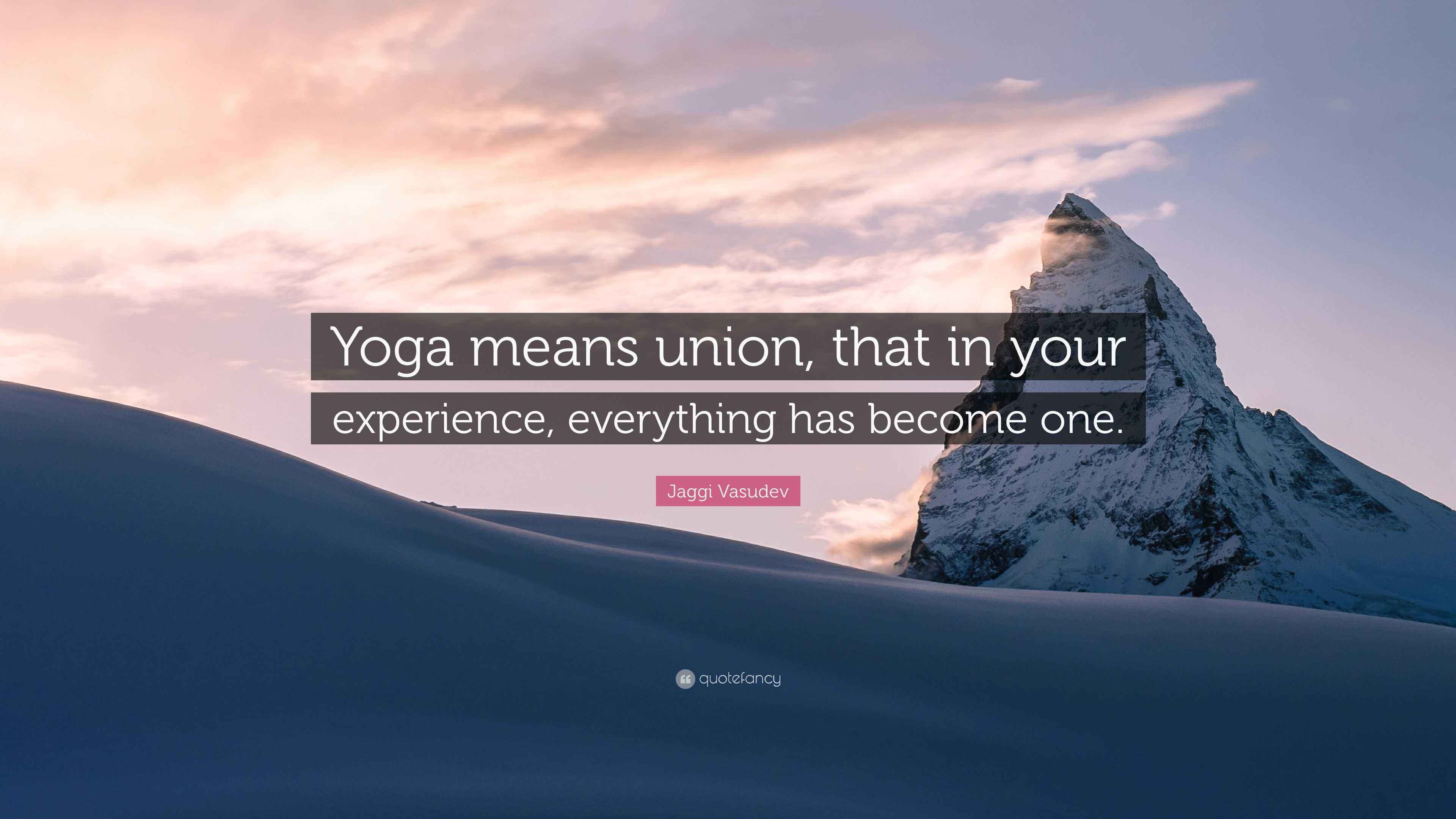 Jaggi Vasudev Quote “Yoga means union, that in your experience