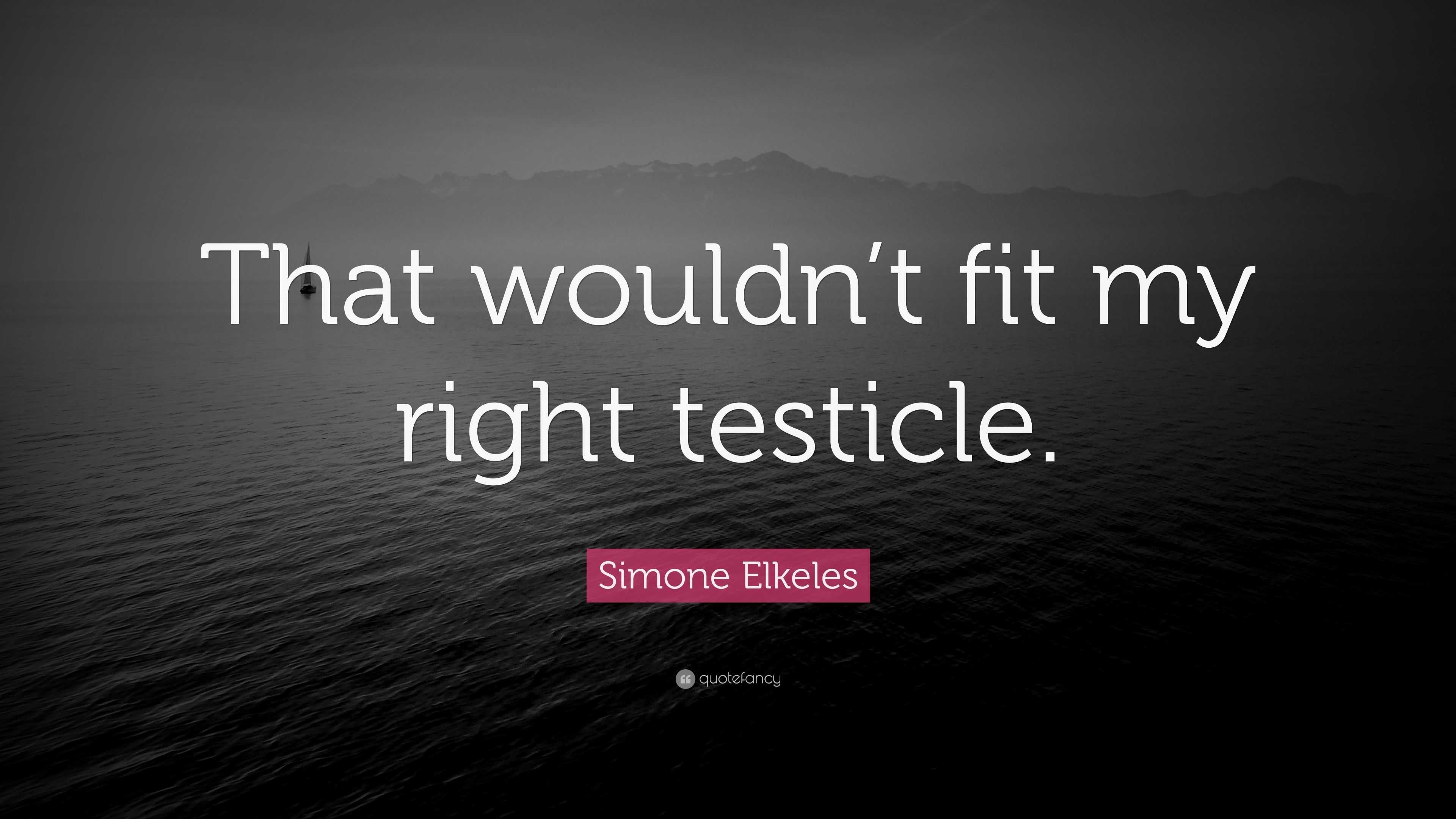 Simone Elkeles Quote “that Wouldnt Fit My Right Testicle”