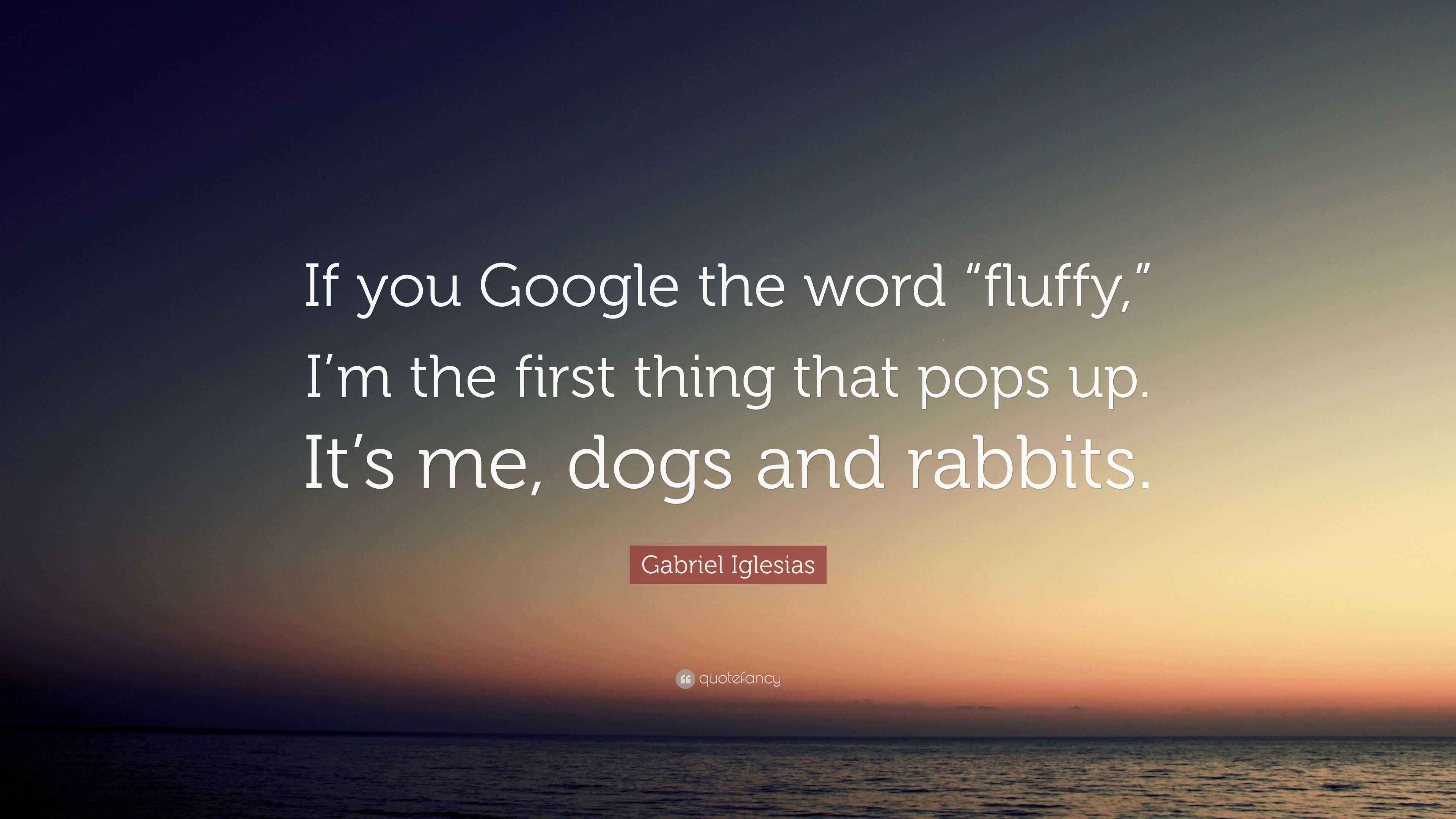 Gabriel Iglesias Quote “If you Google the word “fluffy,” I’m the first
