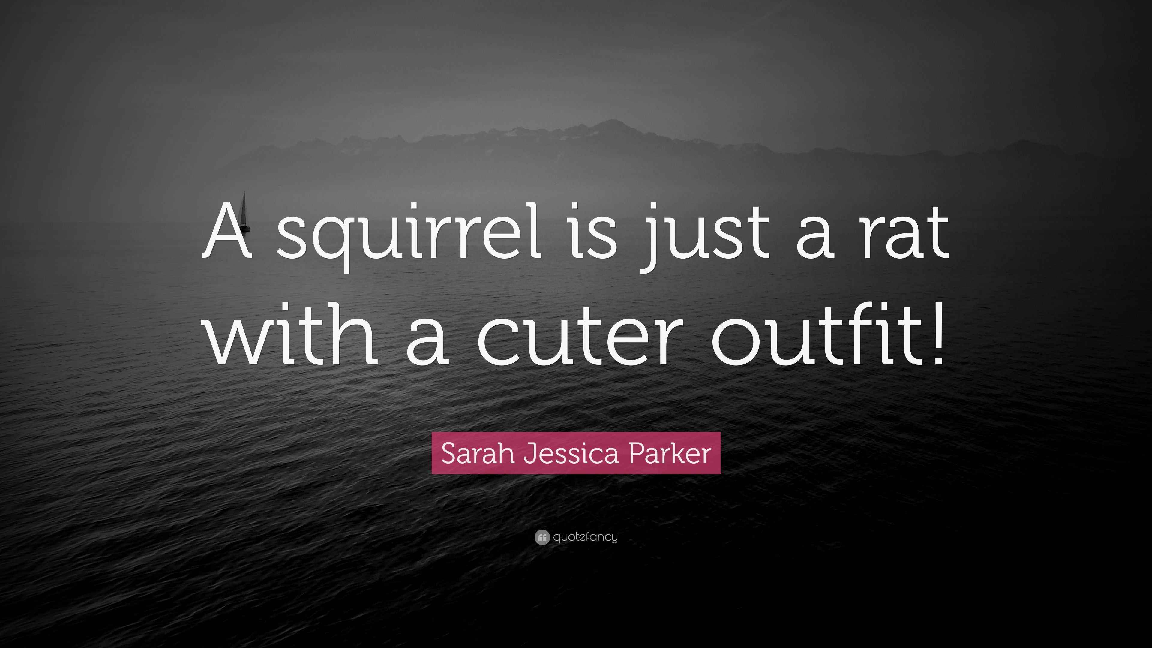 Sarah Jessica Parker Quote “A squirrel is just a rat with a cuter outfit!”