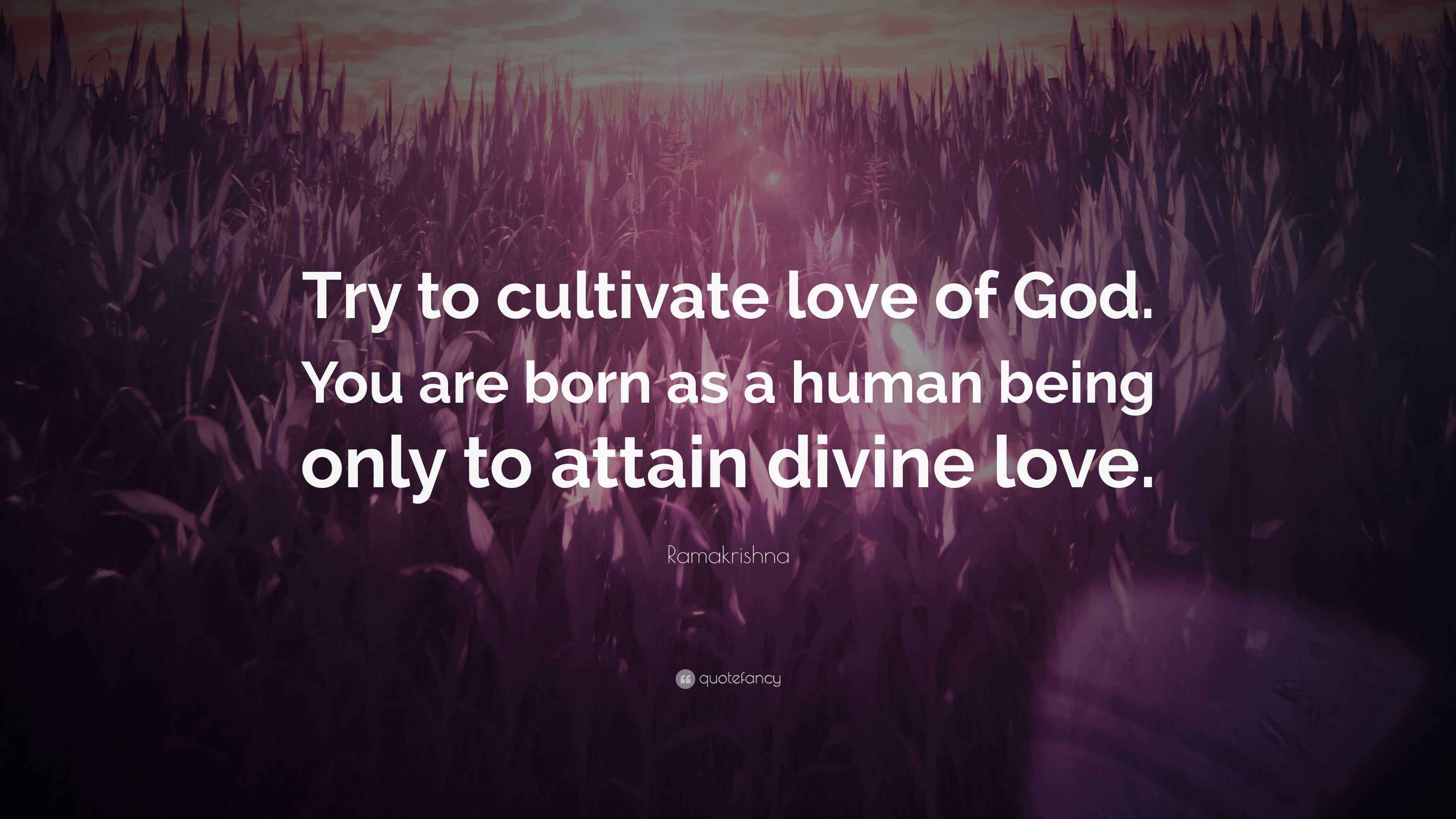 Ramakrishna Quote: “Try to cultivate love of God. You are born as a ...