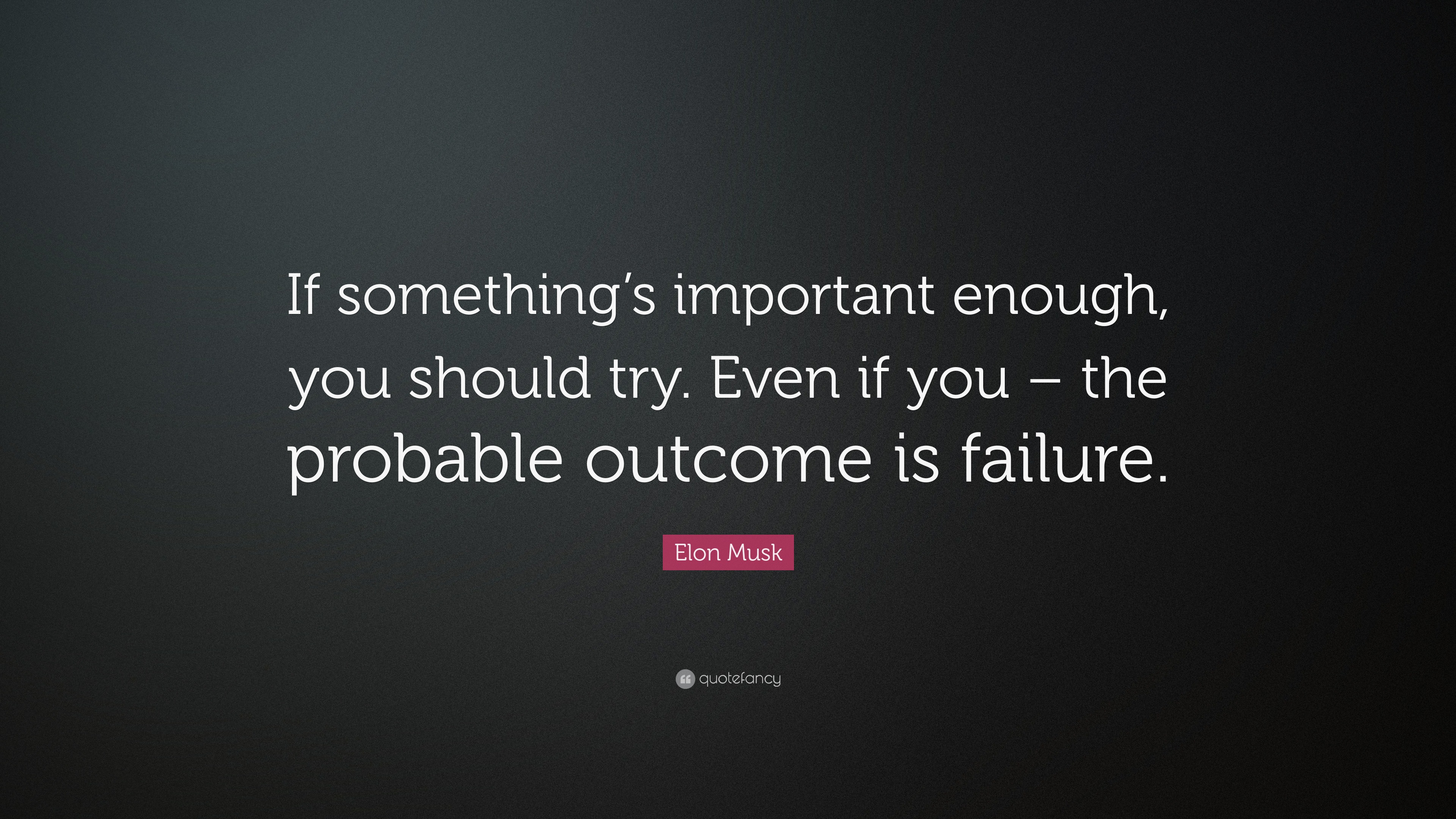 Elon Musk Quote: “If something’s important enough, you should try. Even ...