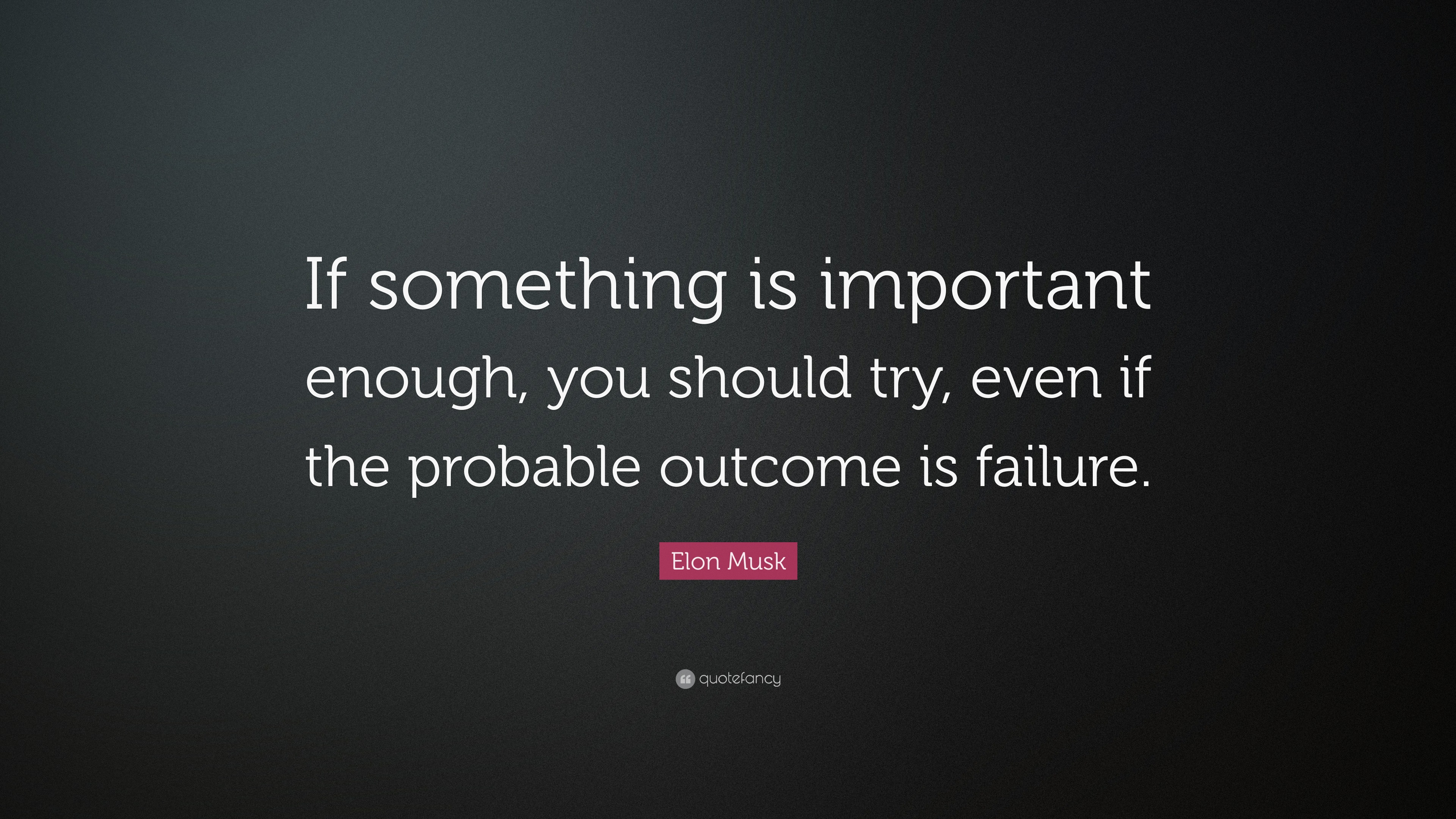 Elon Musk Quote: “If something’s important enough, you should try. Even ...