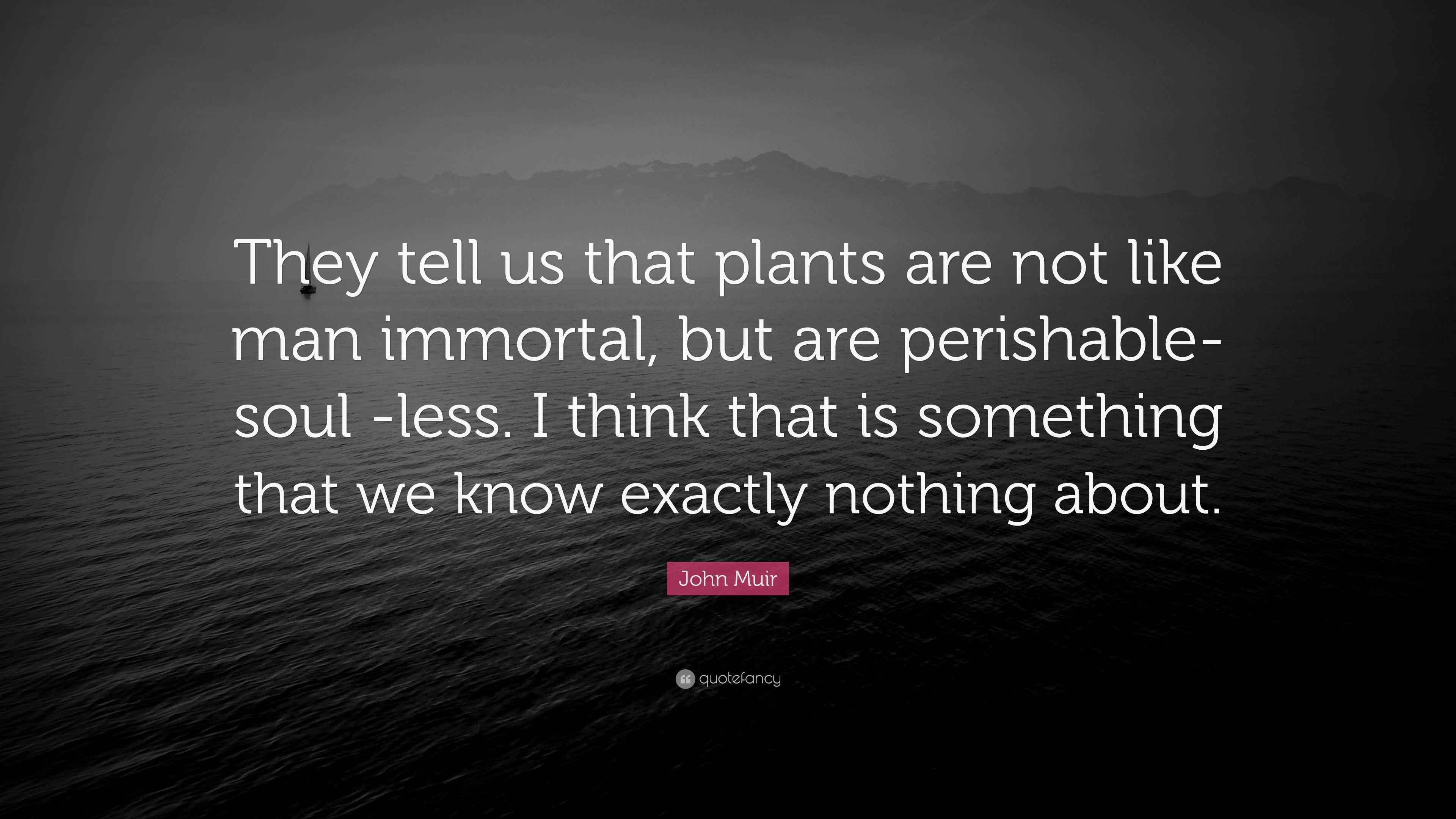 John Muir Quote “They tell us that plants are not like man immortal