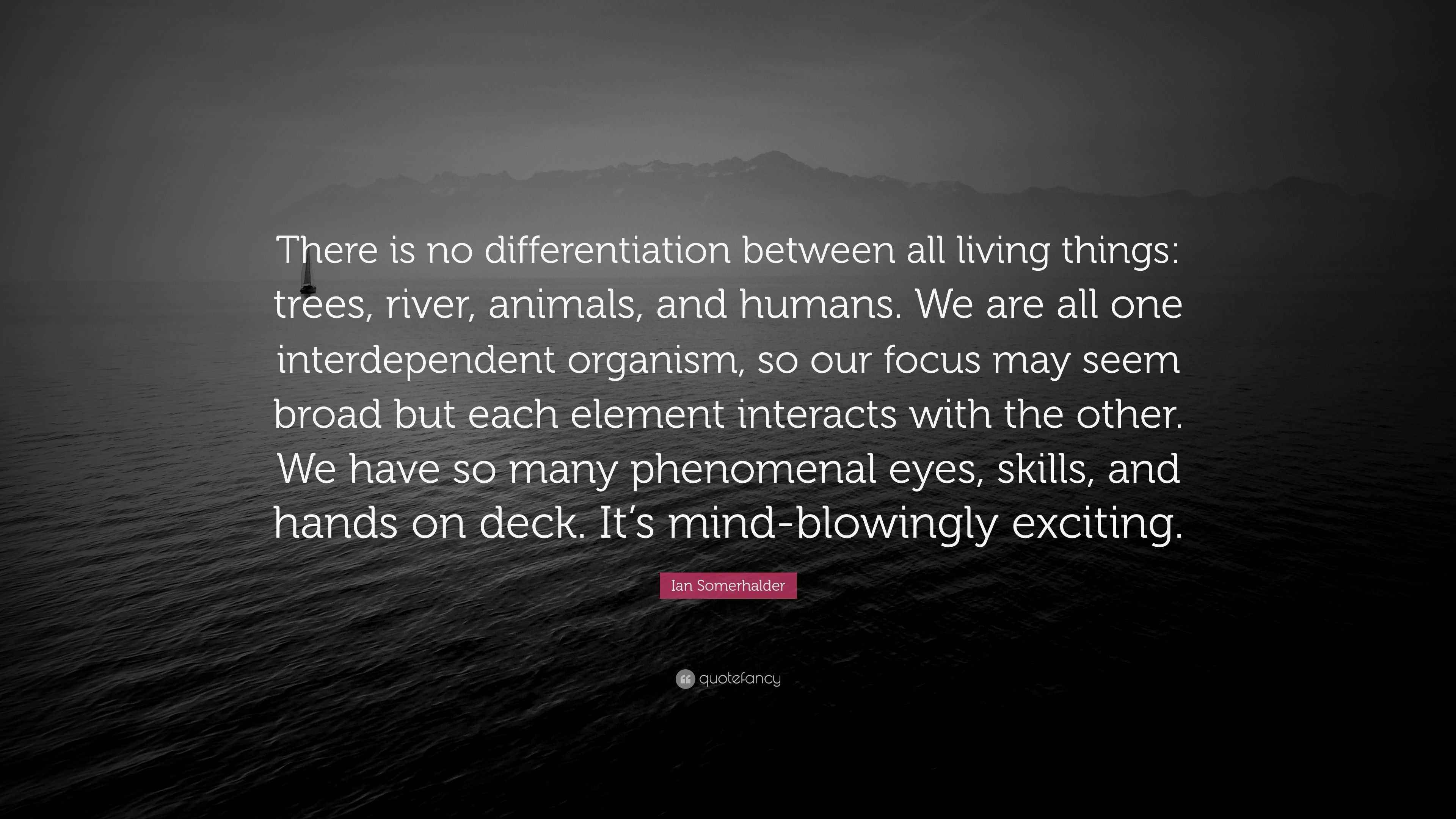 Ian Somerhalder Quote “There is no differentiation between all living