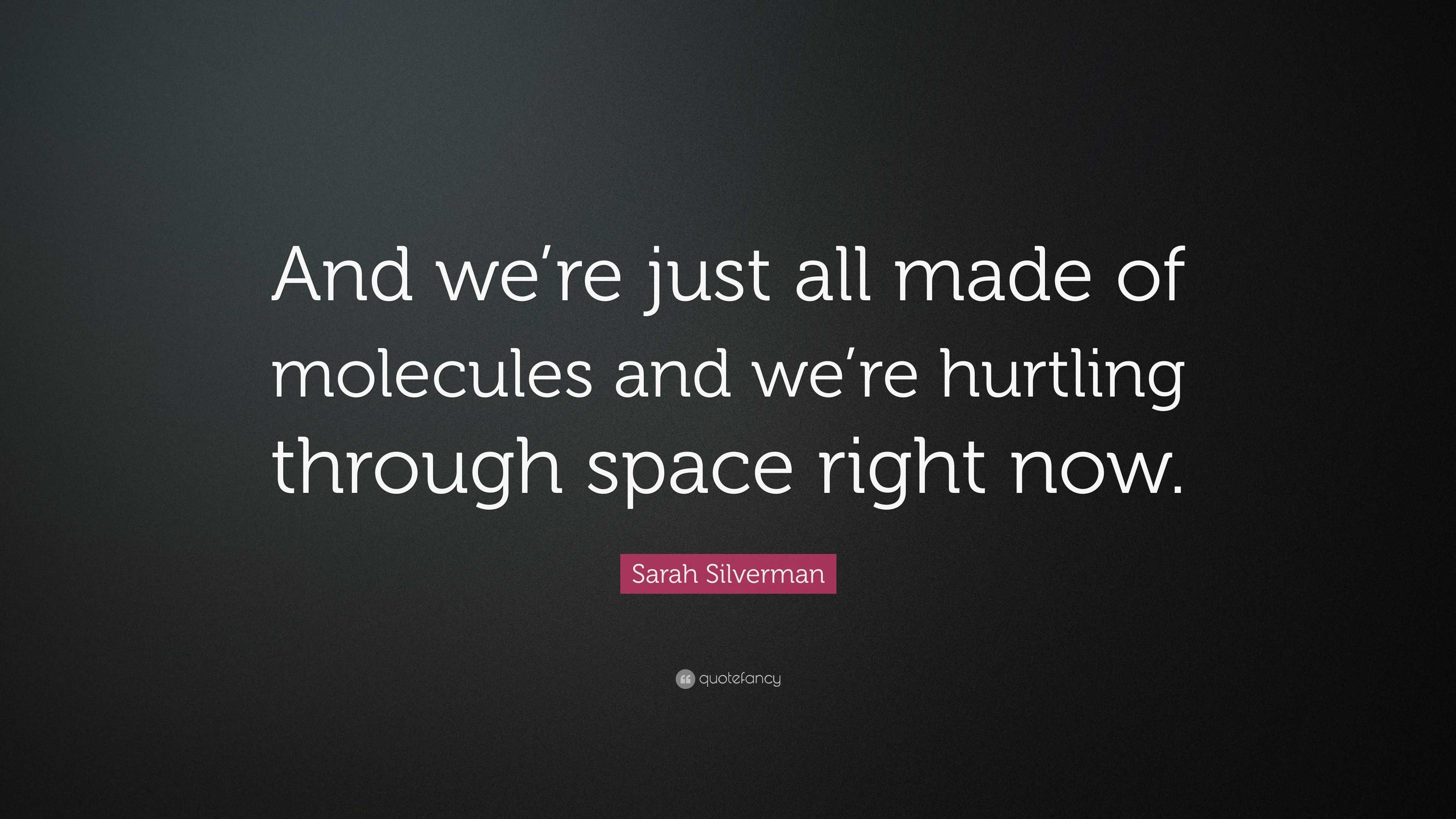 Sarah Silverman Quote: “And we’re just all made of molecules and we’re ...