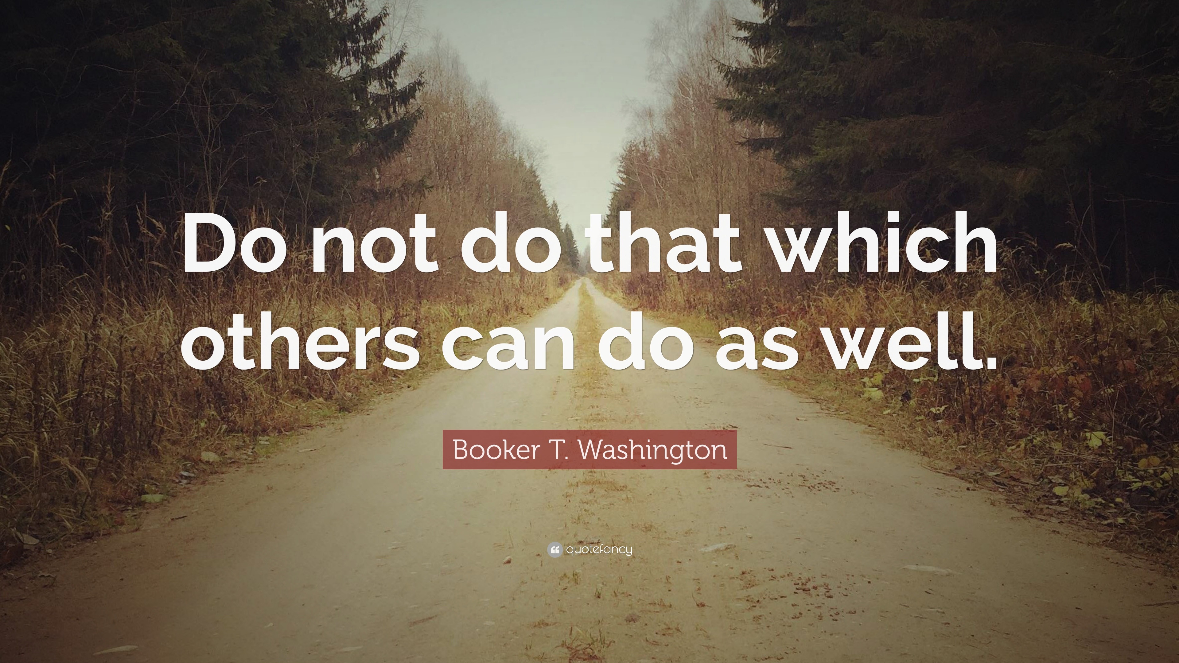 Booker T. Washington Quote: “Do not do that which others can do as well.”