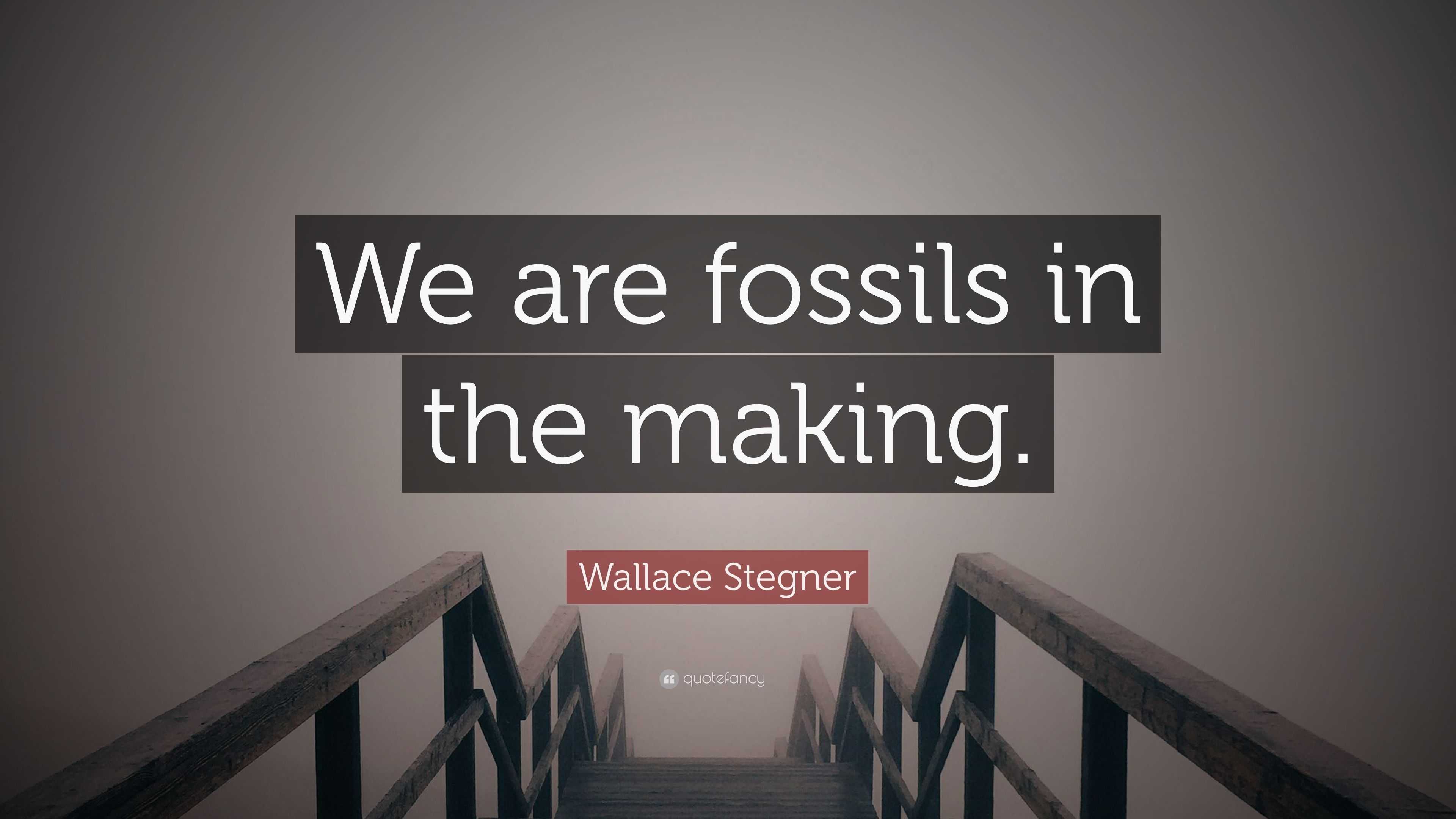 Wallace Stegner Quote: “We are fossils in the making.”