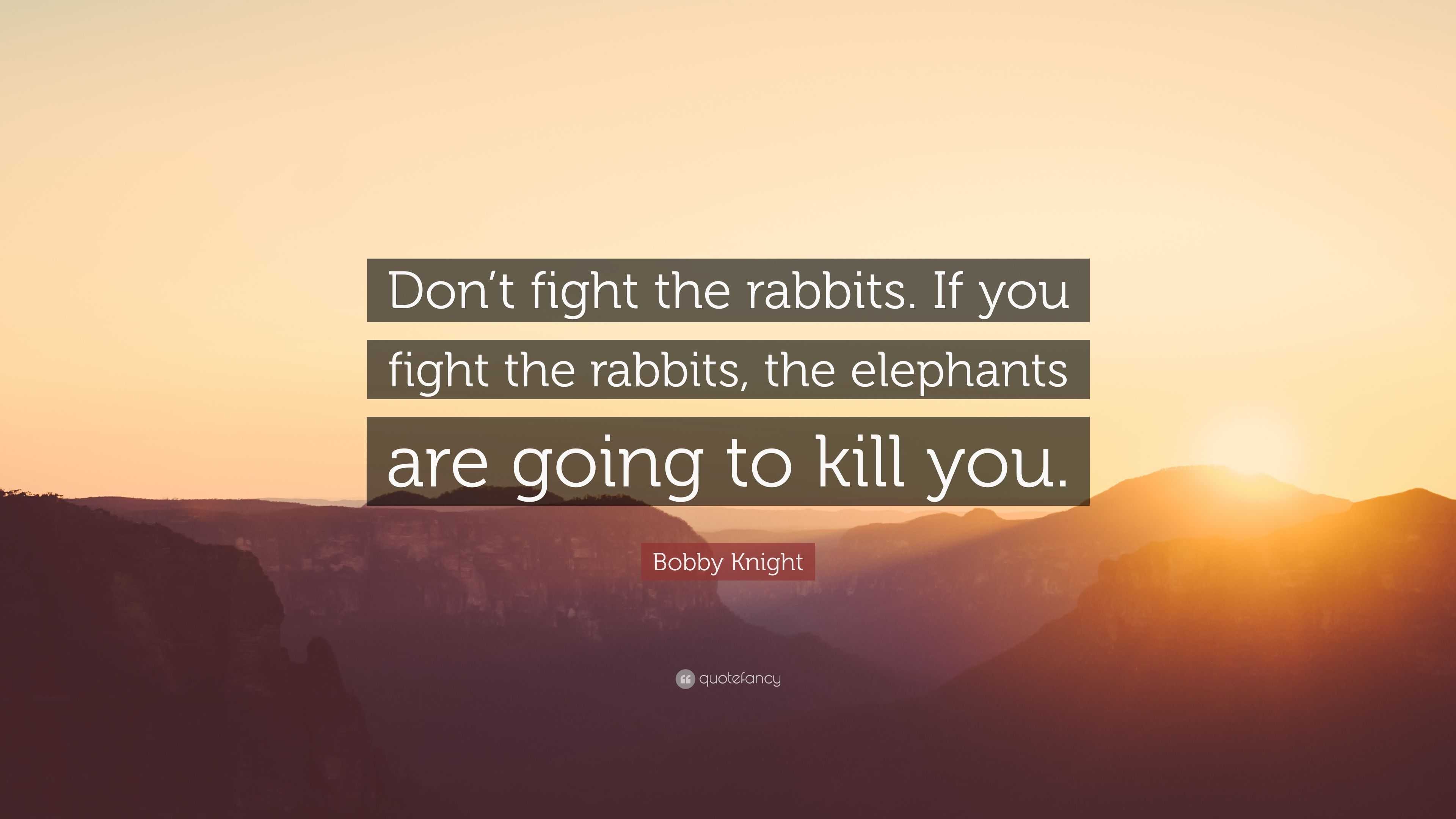 Bobby Knight Quote “Don’t fight the rabbits. If you fight the rabbits