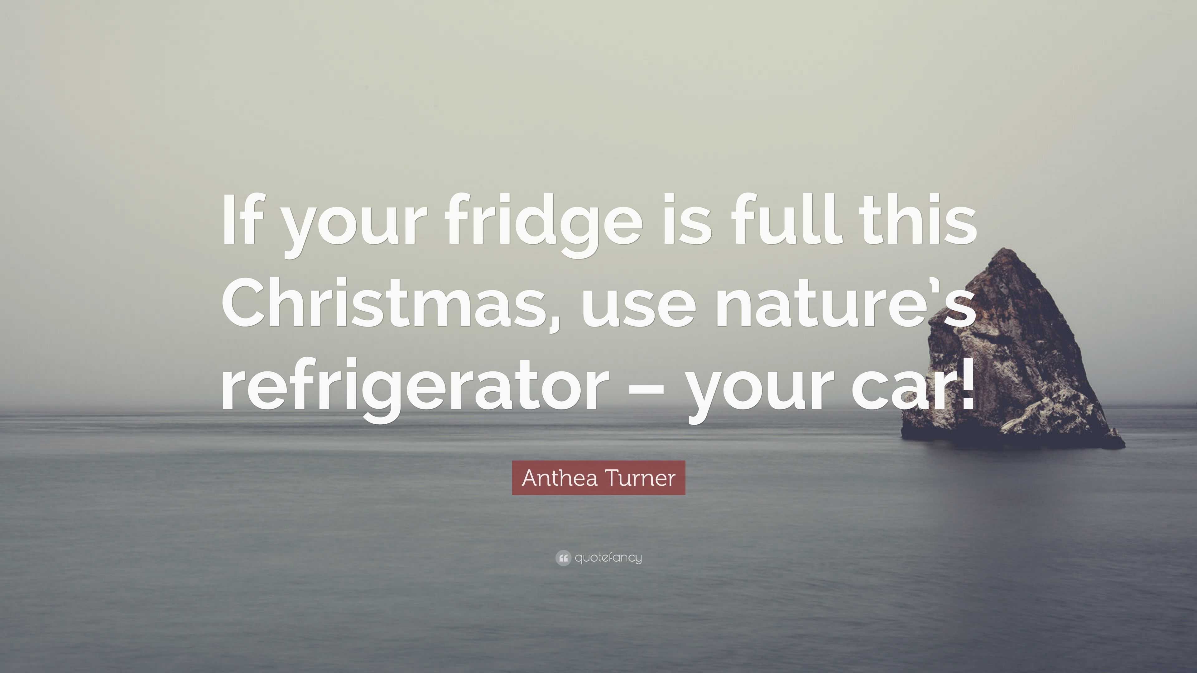 Anthea Turner Quote “if Your Fridge Is Full This Christmas Use Natures Refrigerator Your Car” 