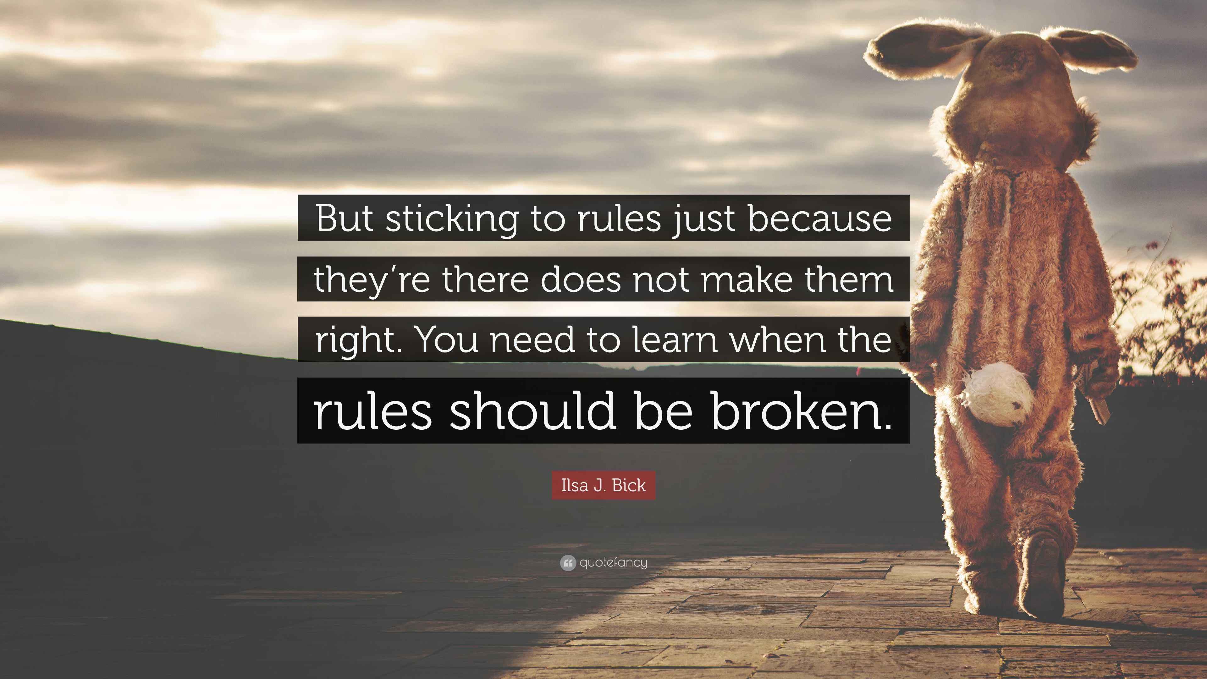 Ilsa J. Bick Quote “But sticking to rules just because they’re there