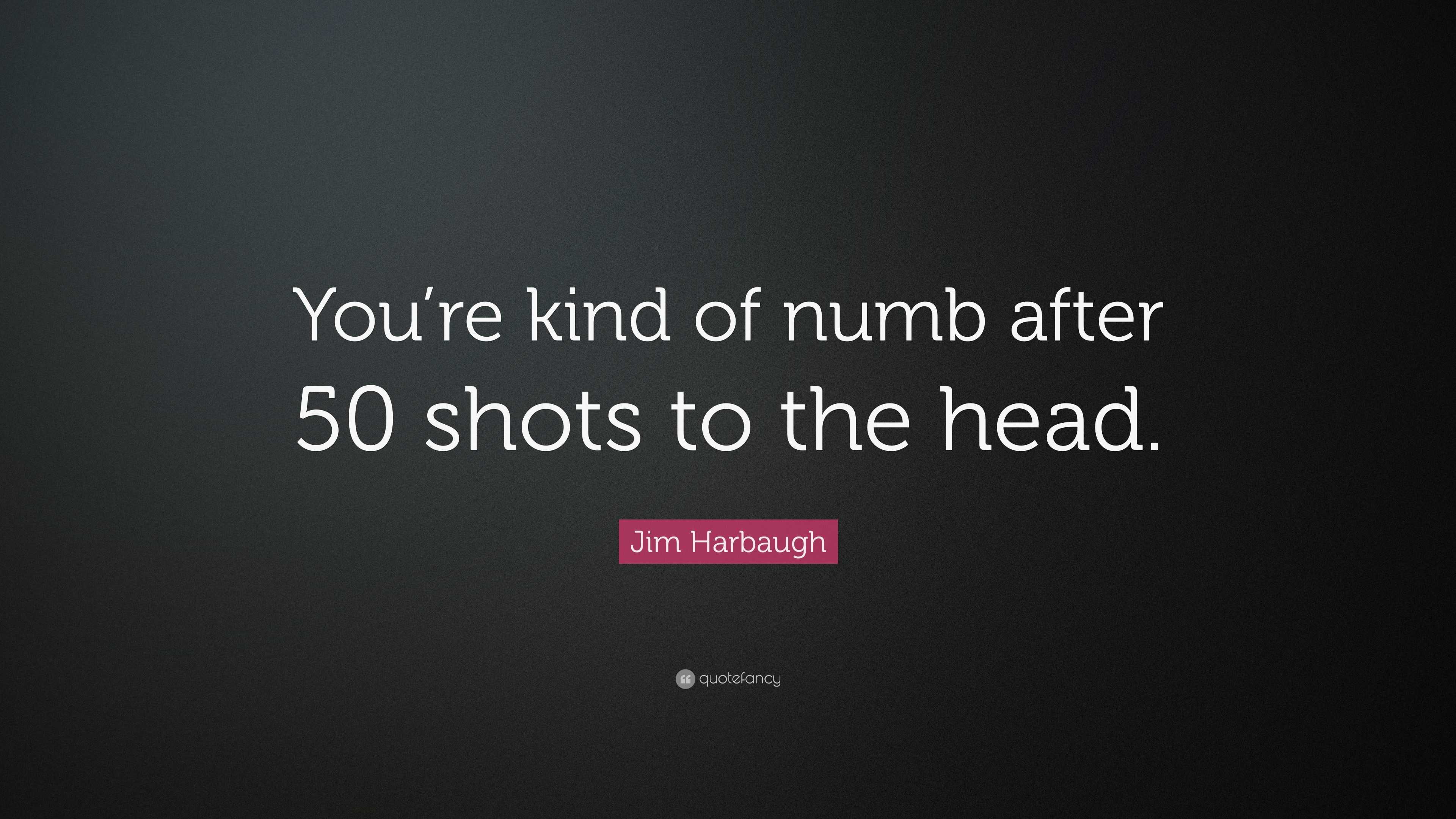 Jim Harbaugh Quote: "You're kind of numb after 50 shots to the head." (7 wallpapers) - Quotefancy