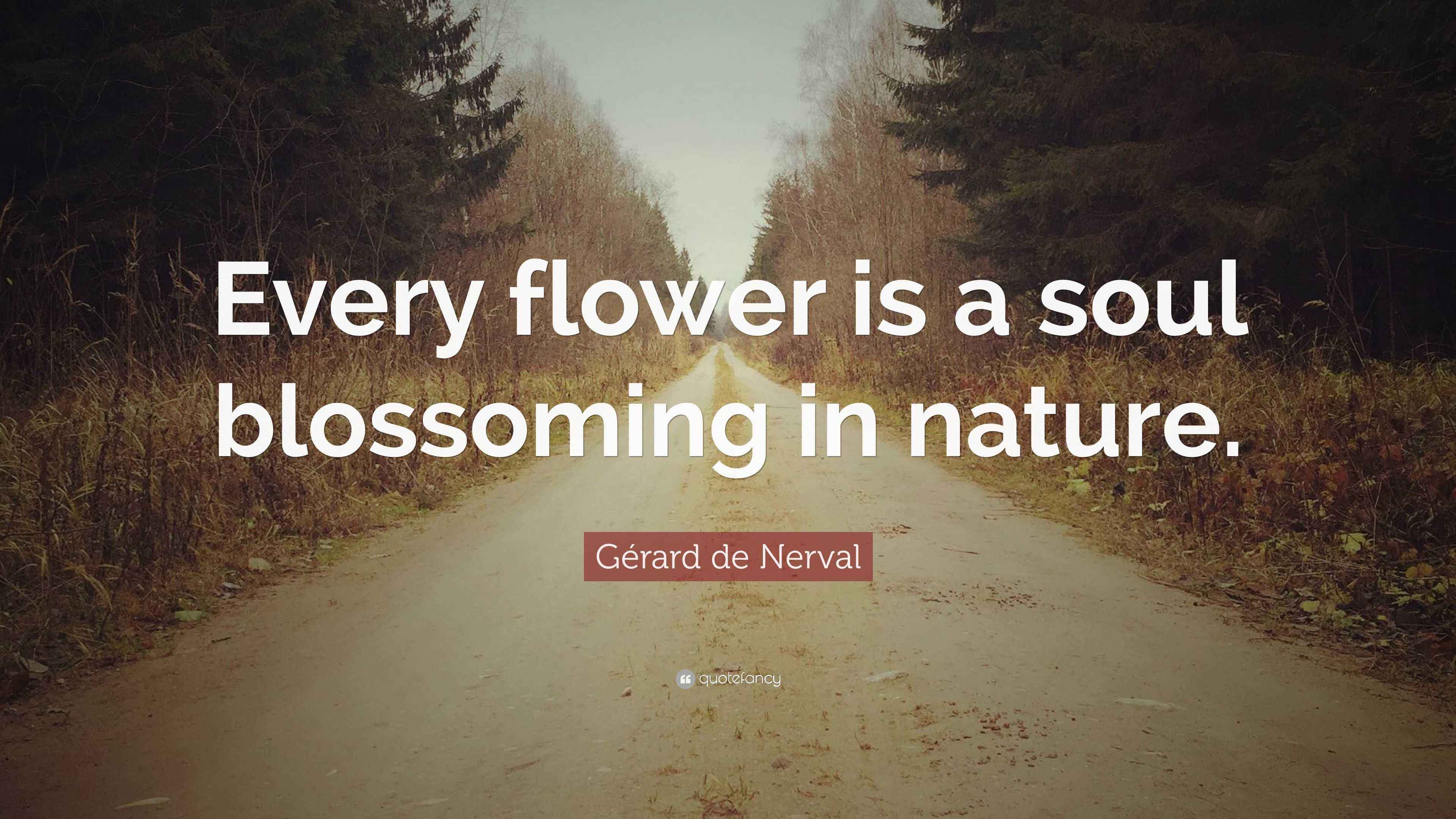 Gérard de Nerval Quote “Every flower is a soul blossoming in nature.”