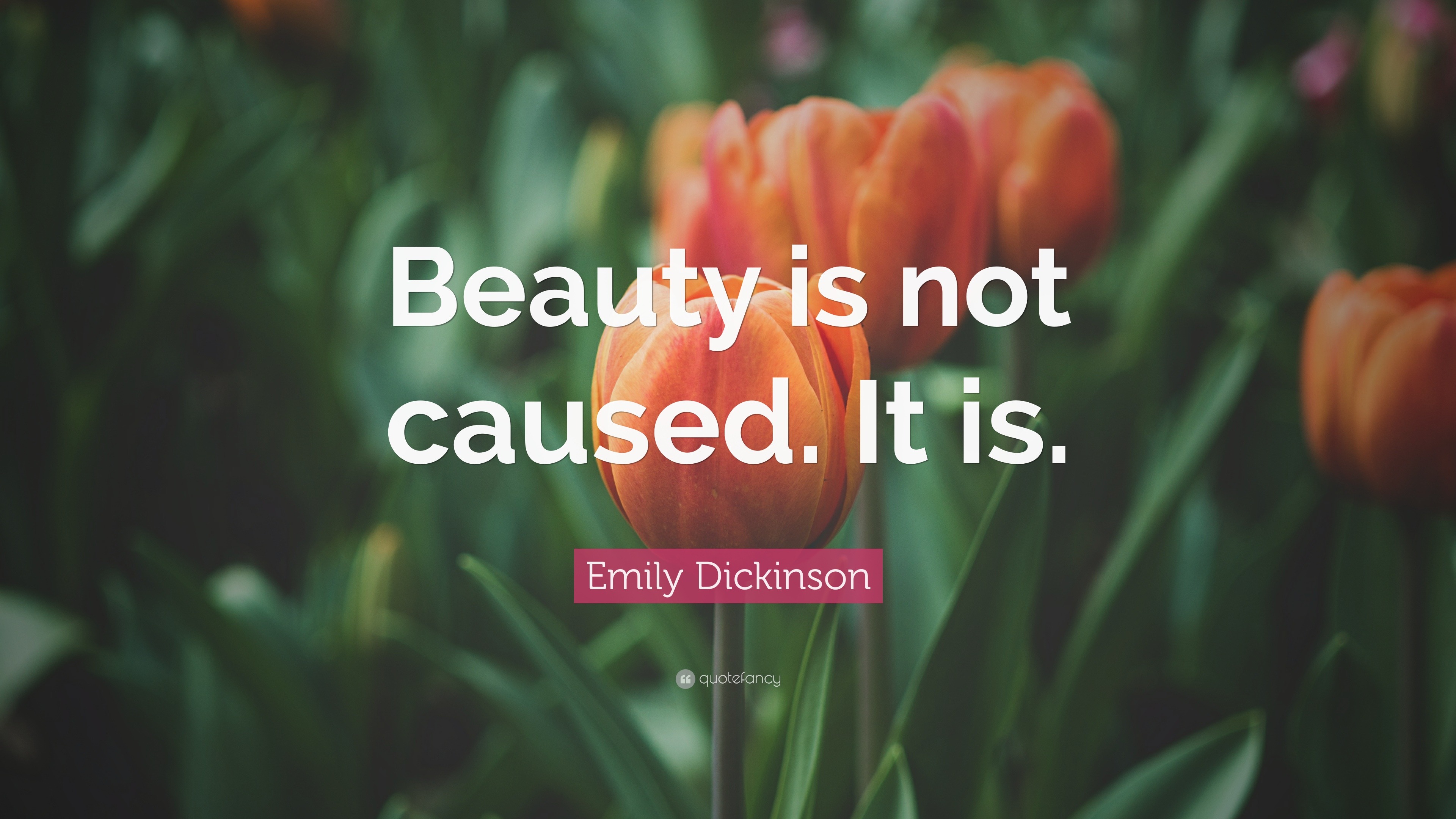 Emily Dickinson Quote: “Beauty is not caused. It is.”
