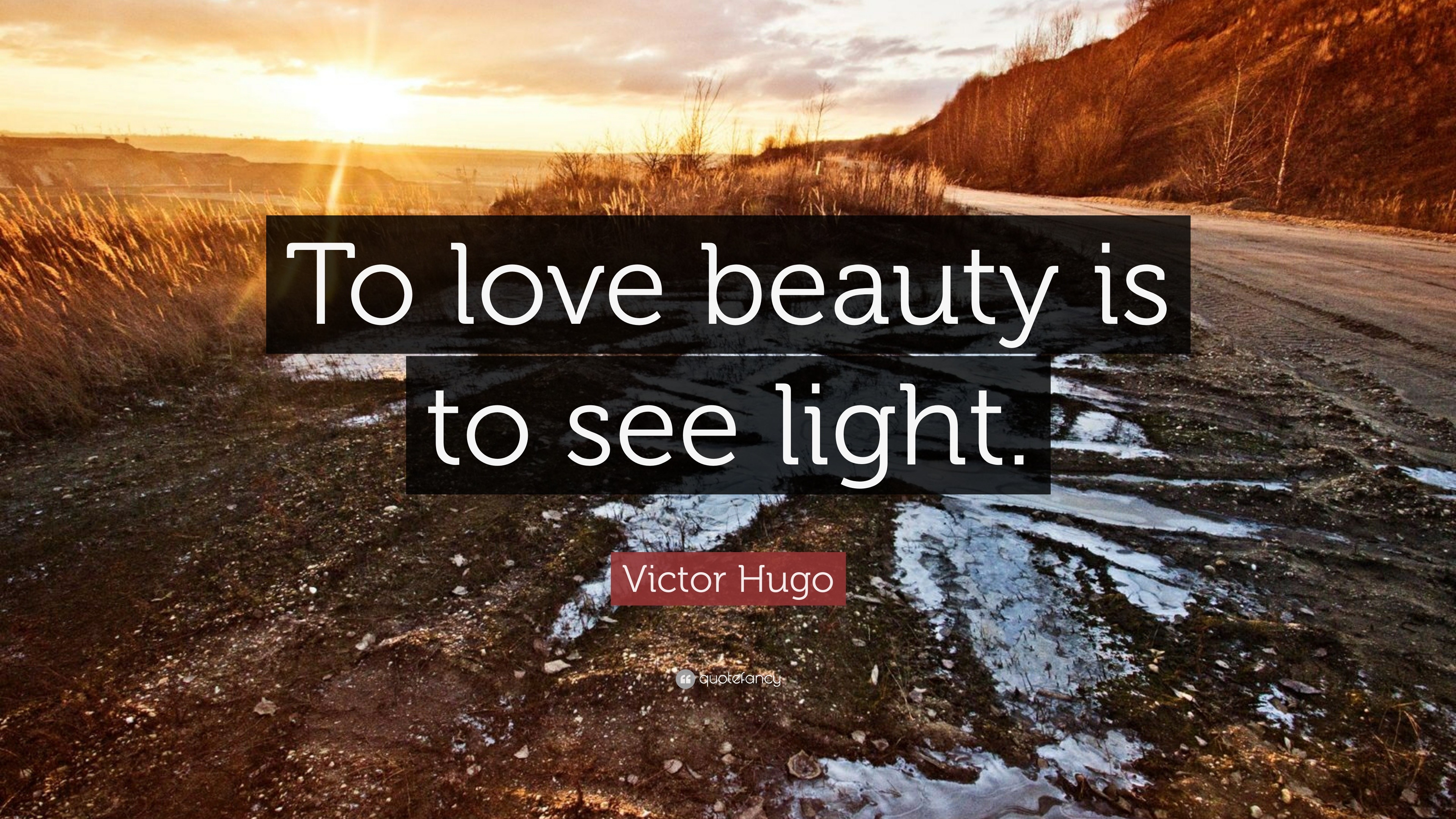 Victor Hugo Quote: “To love beauty is to see light.”
