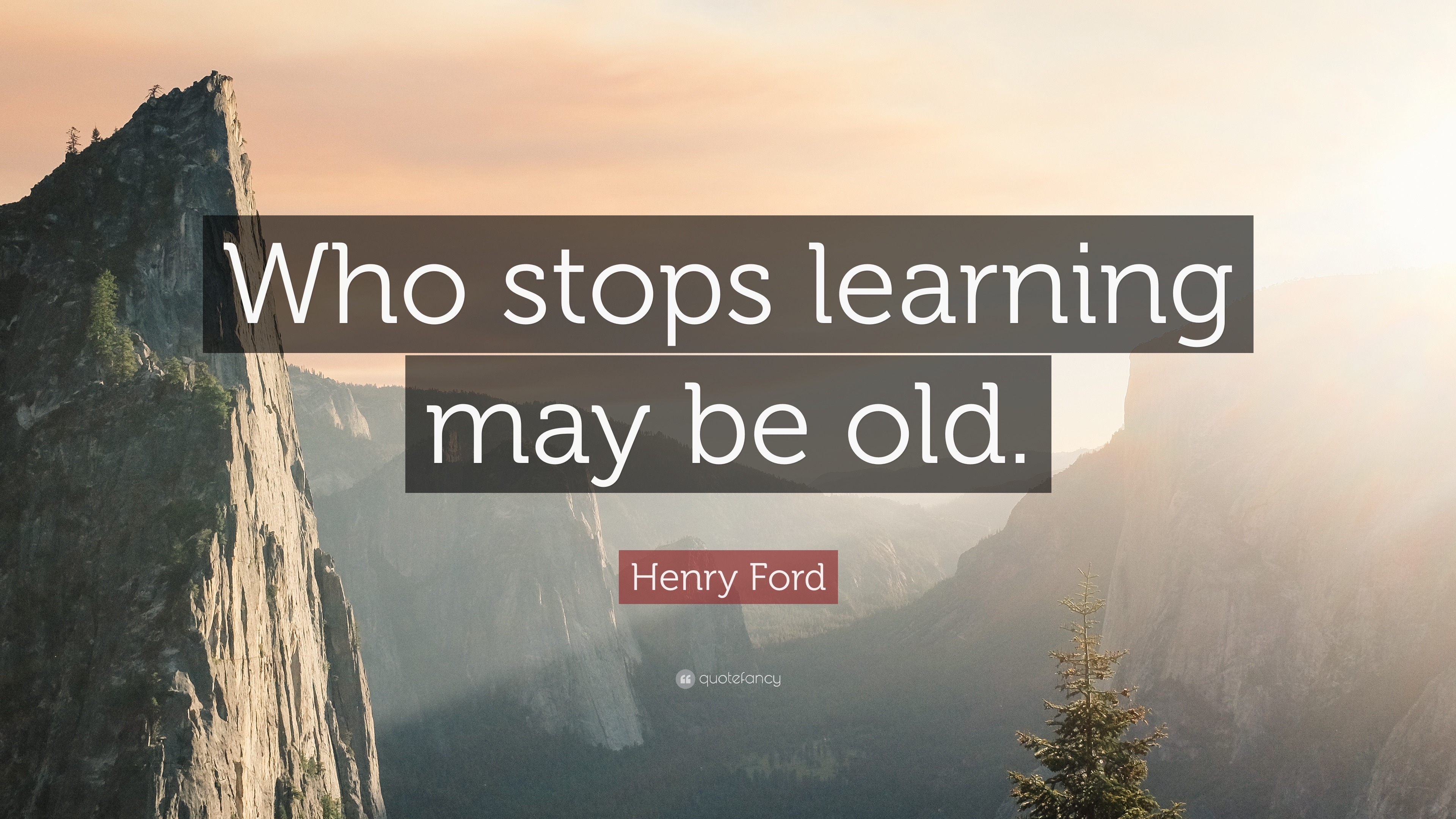 Henry Ford Quote: “Who stops learning may be old.”