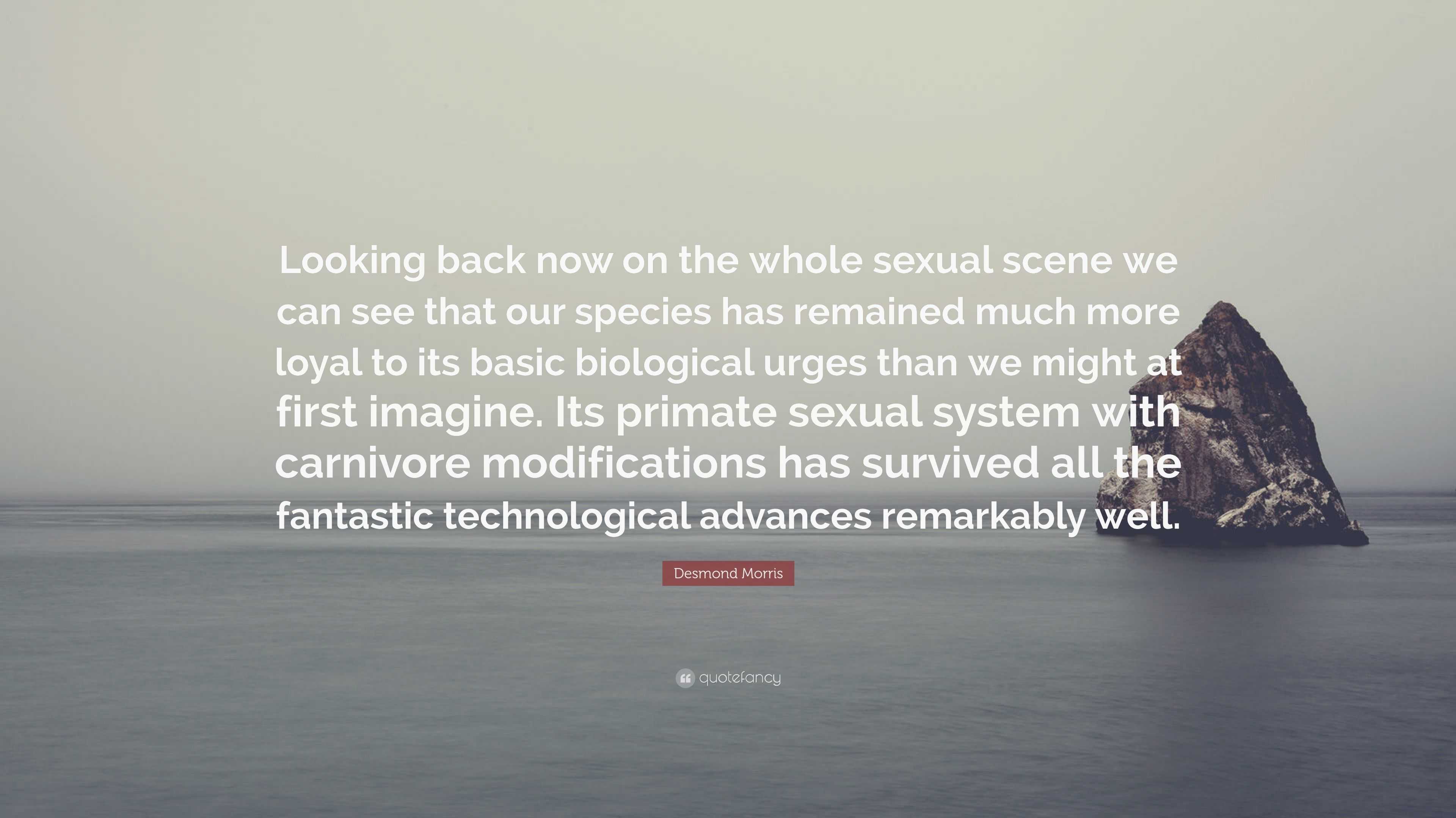 Desmond Morris Quote: “Looking back now on the whole sexual scene we can  see that our species has remained much more loyal to its basic biologi...”