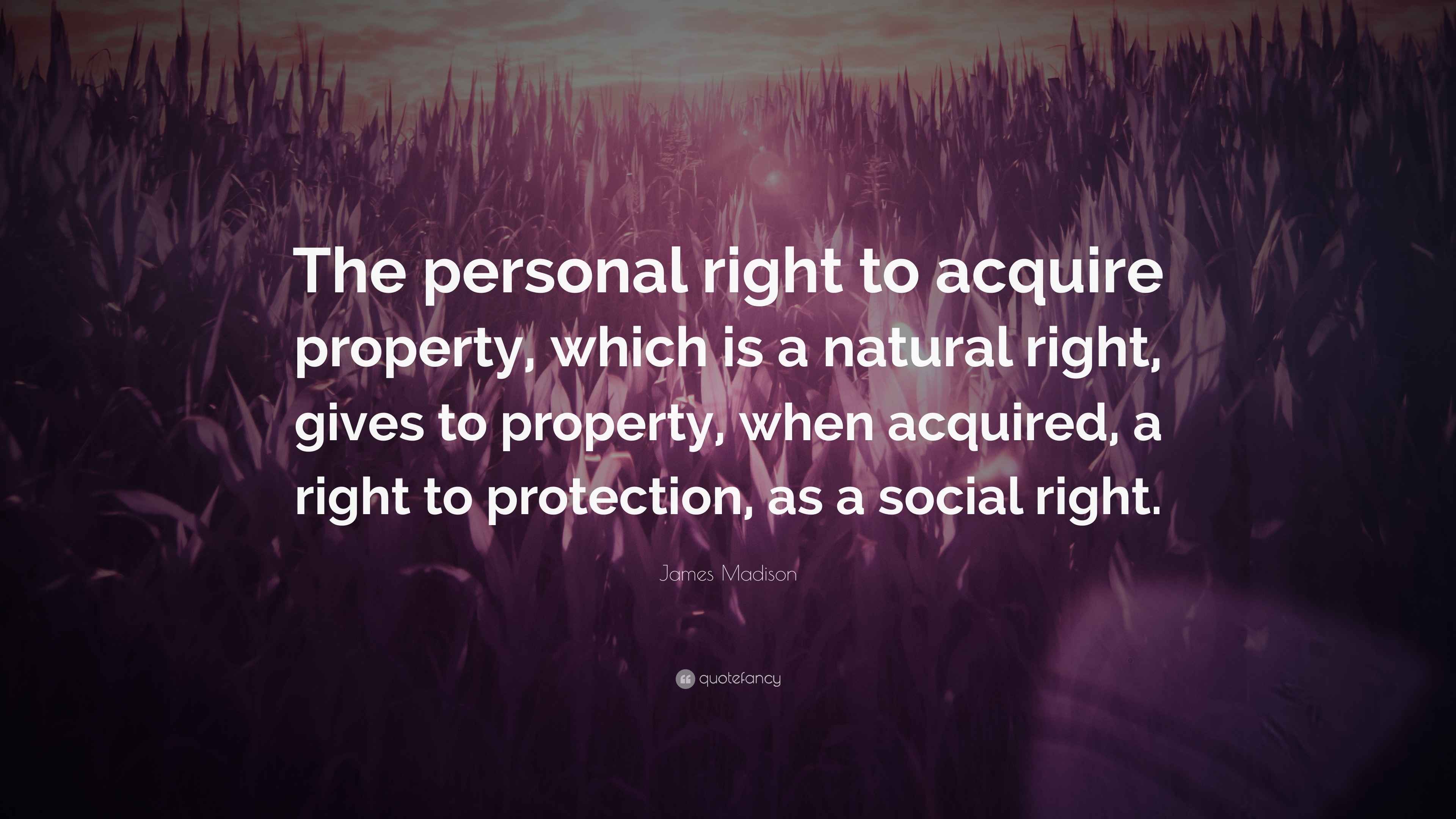 James Madison Quote “The personal right to acquire property, which is