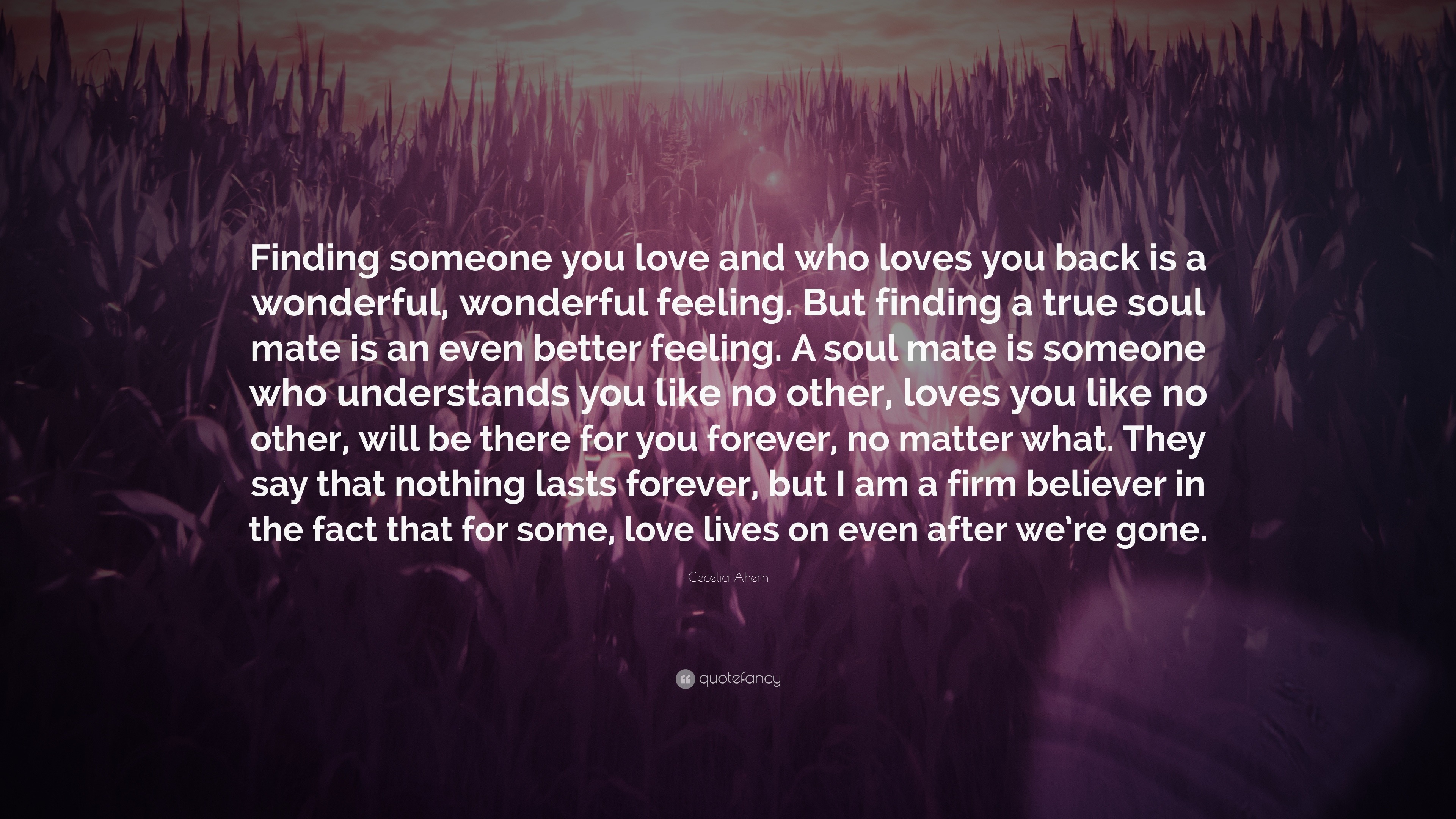 Cecelia Ahern Quote “Finding someone you love and who loves you back is a