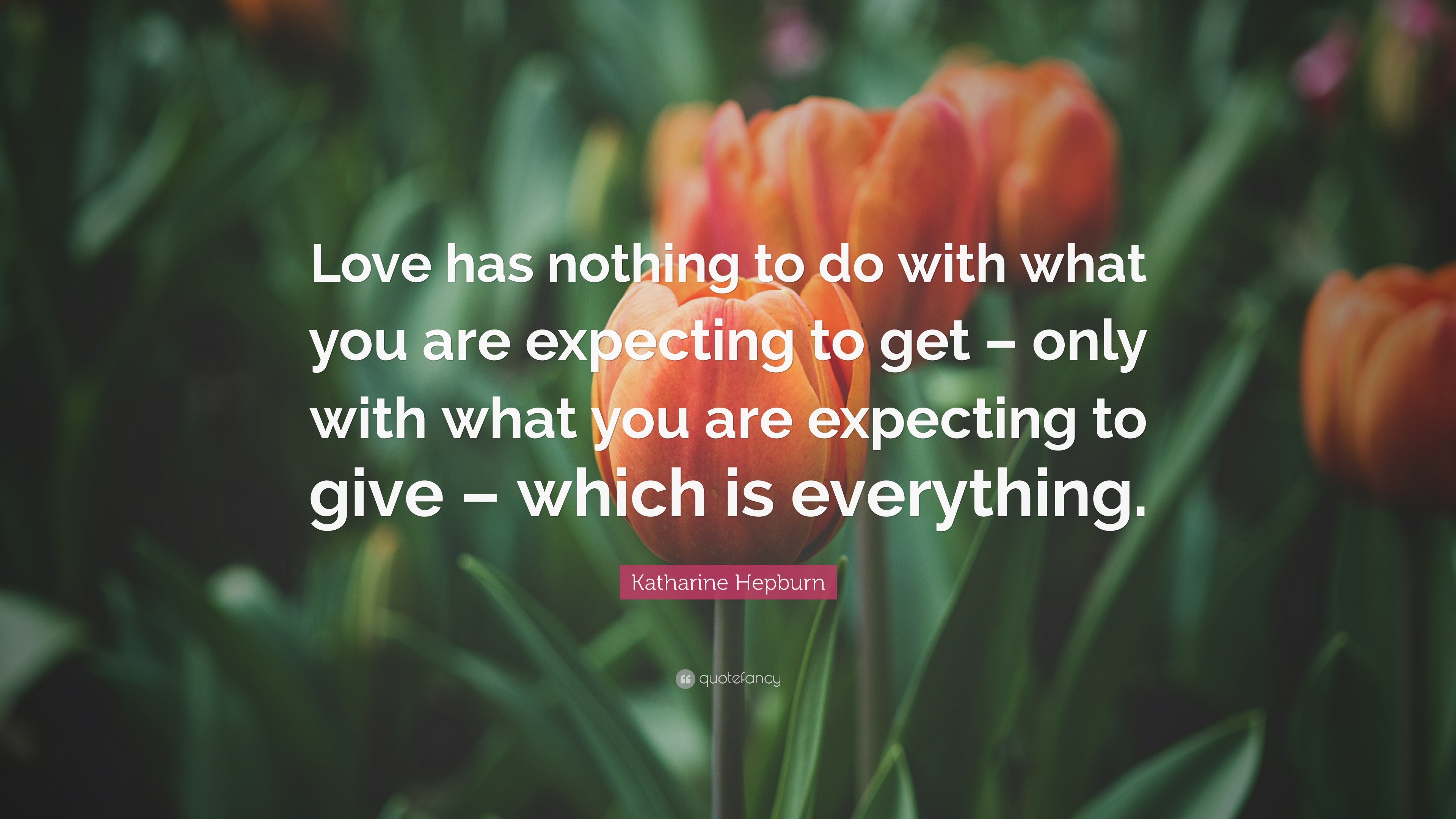 Katharine Hepburn Quote “Love has nothing to do with what you are