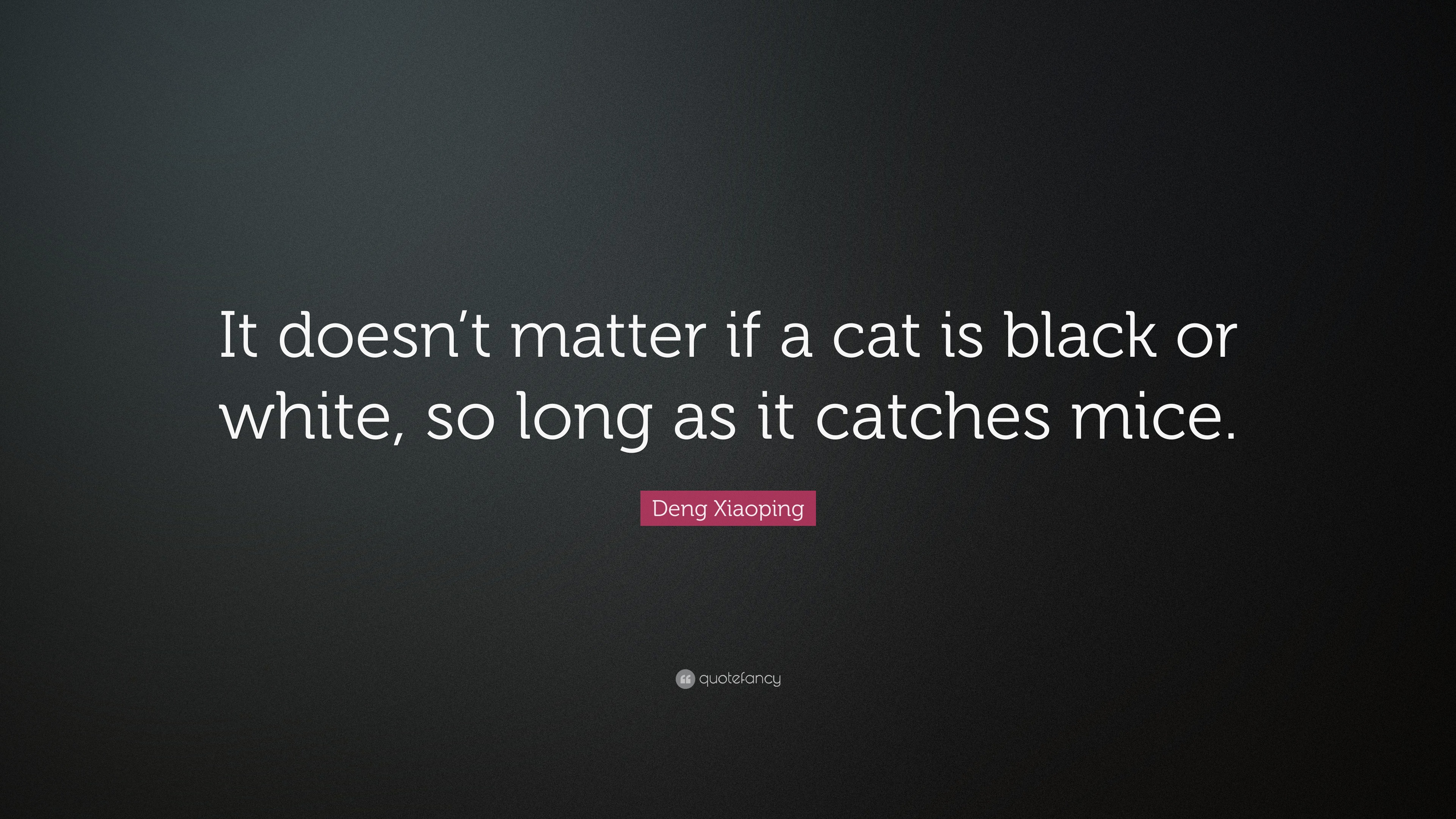 Deng Xiaoping Quote “It doesn’t matter if a cat is black or white, so