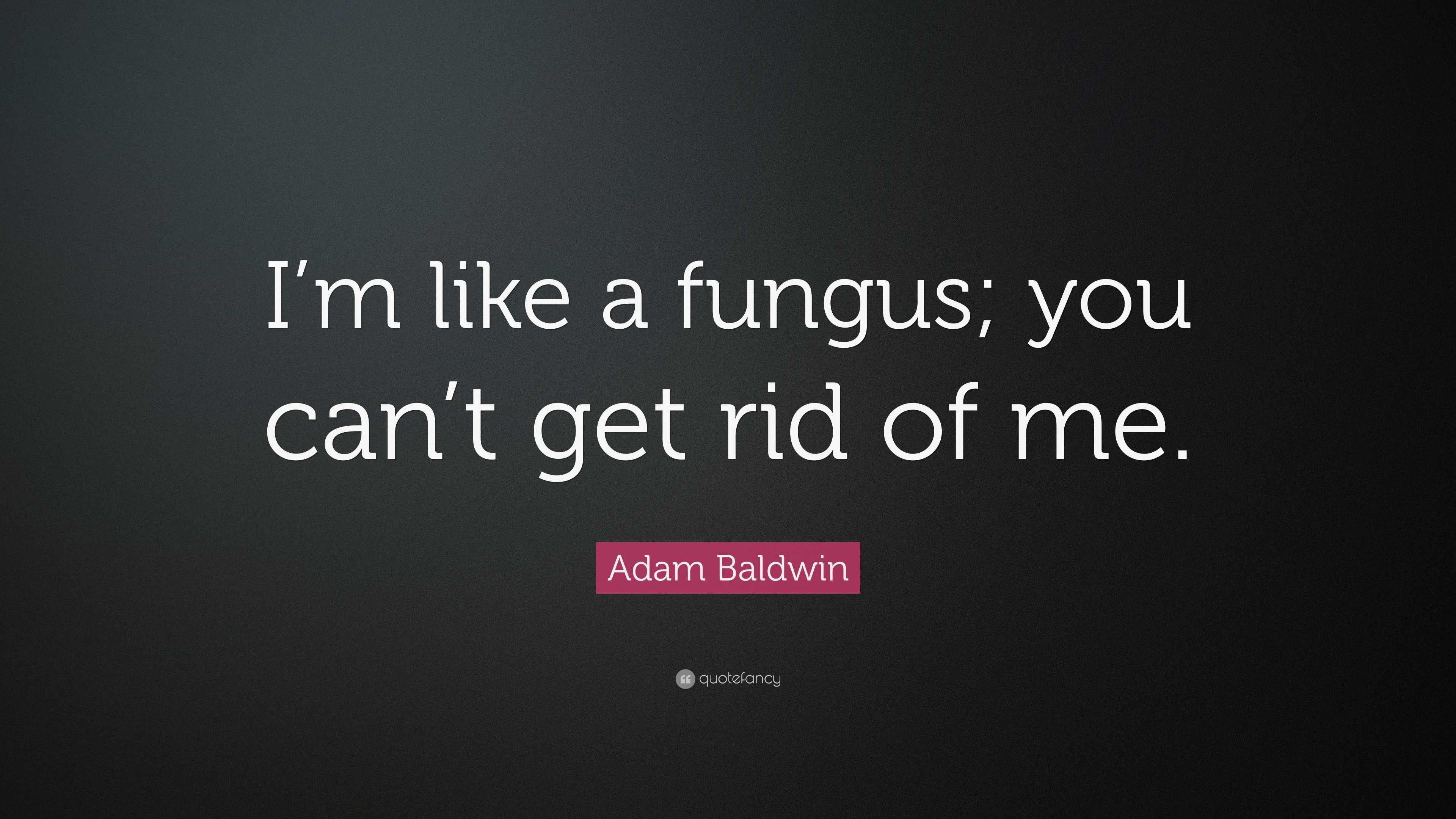 adam-baldwin-quote-i-m-like-a-fungus-you-can-t-get-rid-of-me