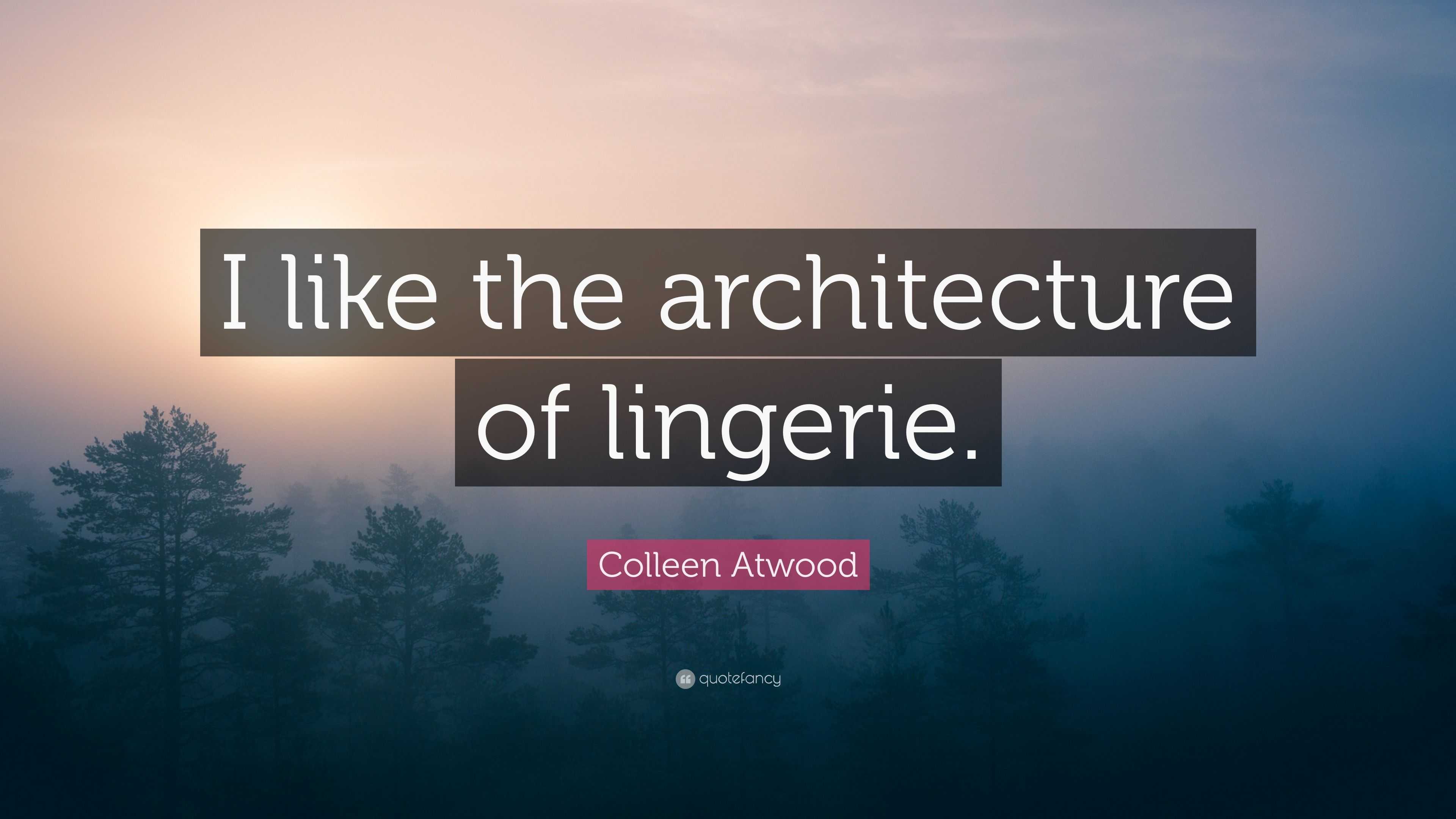 Colleen Atwood Quote I like the architecture of lingerie