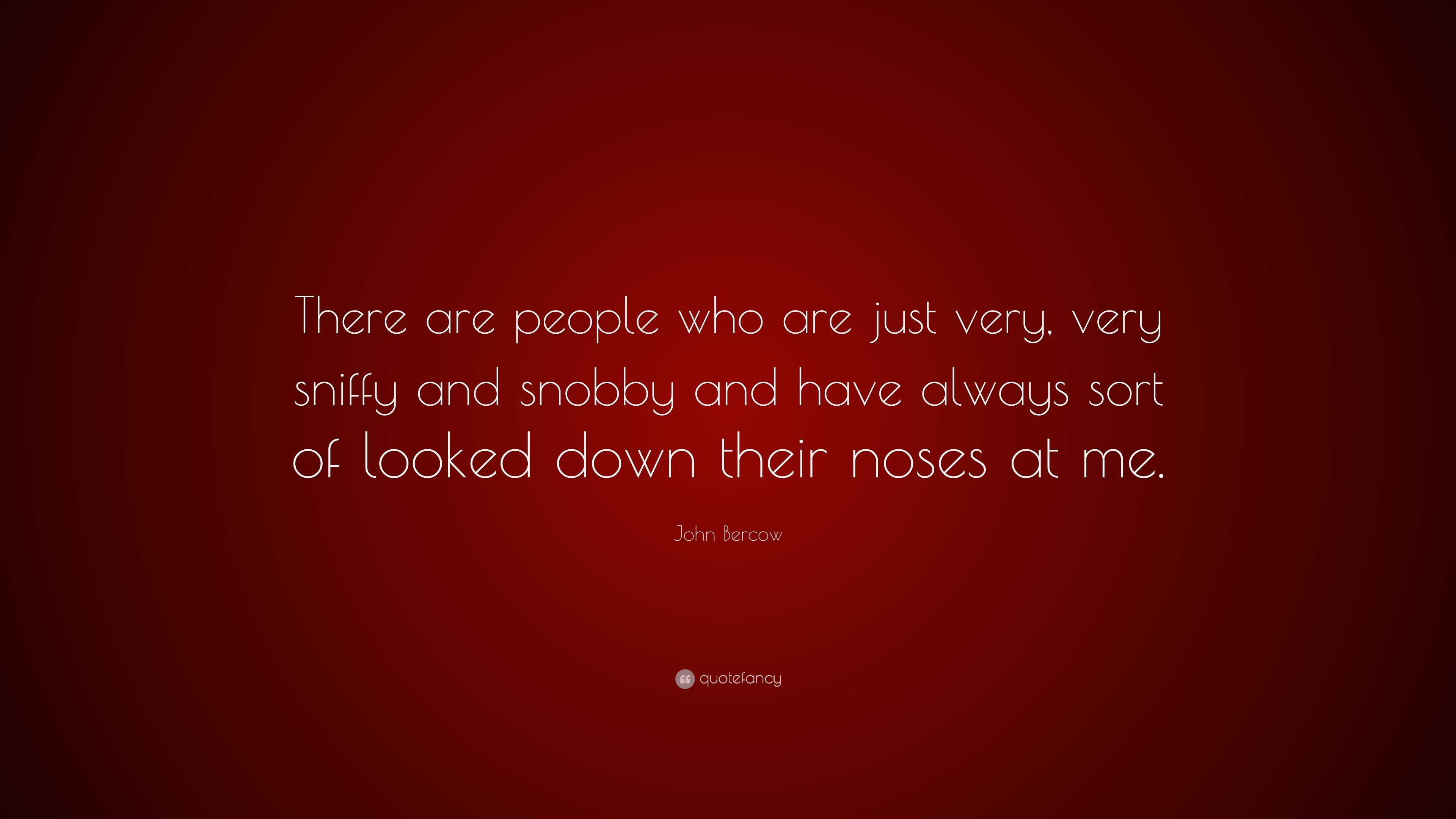 John Bercow Quote: “There are people who are just very, very sniffy and ...