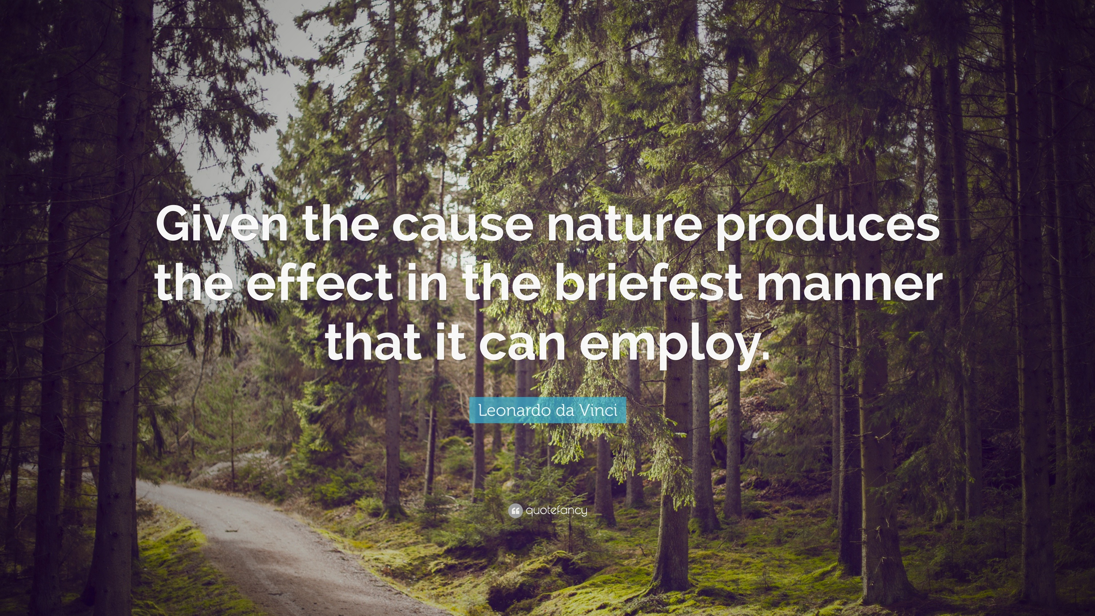 Leonardo da Vinci Quote: “Given the cause nature produces the effect in ...