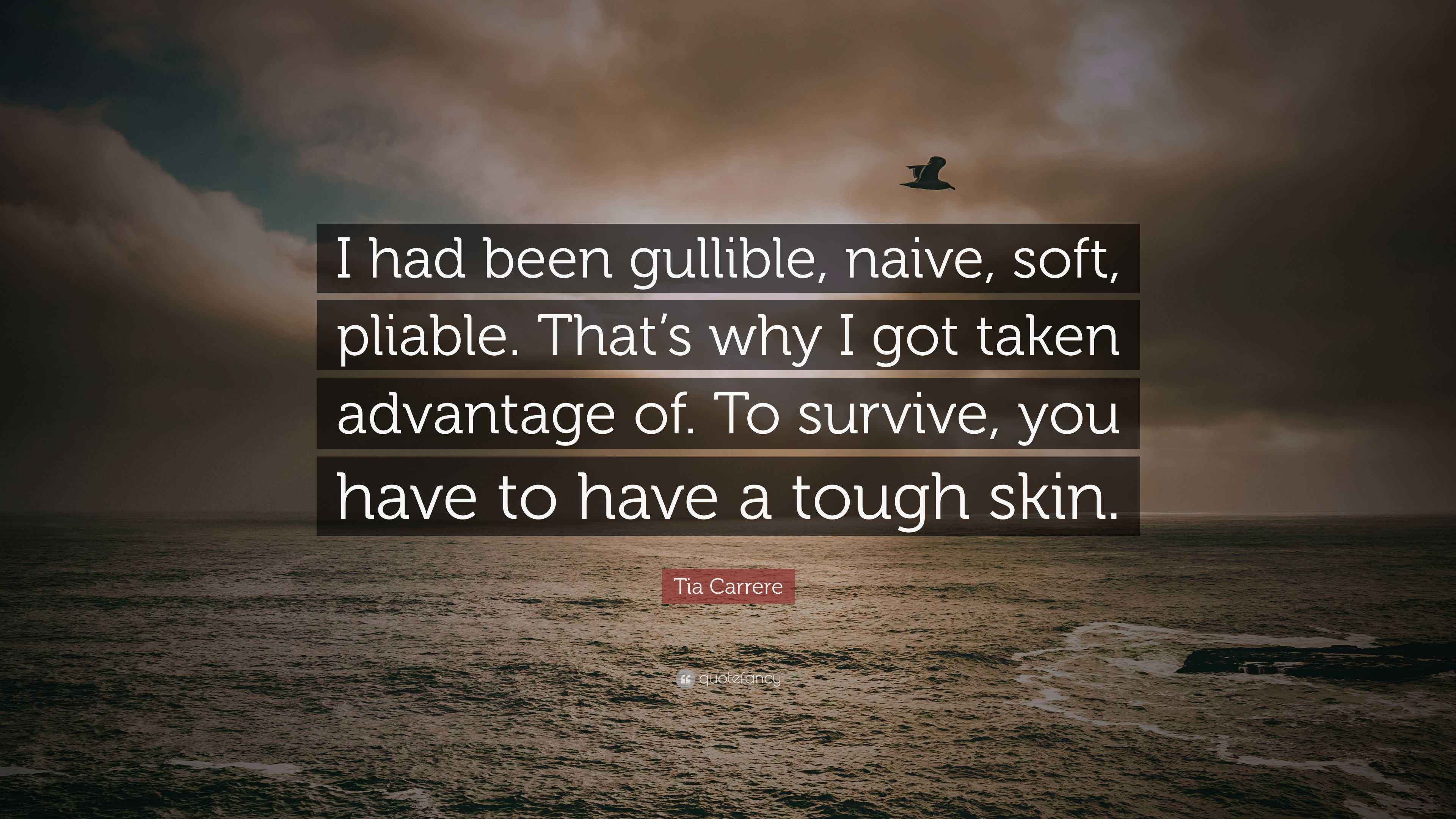 Gullible Naive Quotes TOP 25 GULLIBILITY QUOTES (of 75) | A Z Quotes