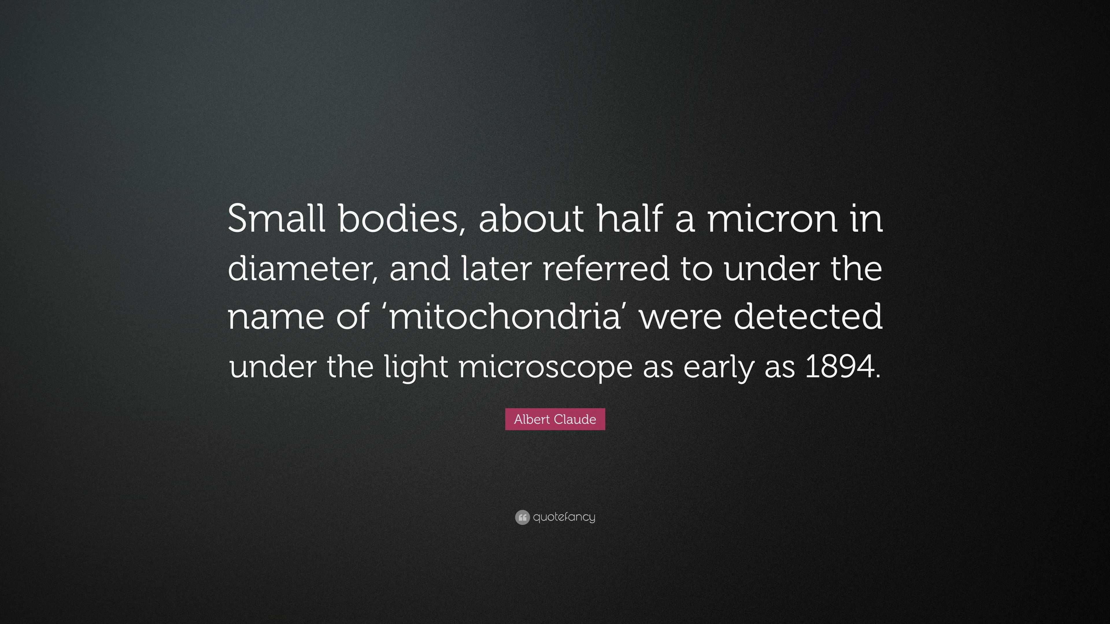 Albert Claude Quote “Small bodies, about half a micron in diameter