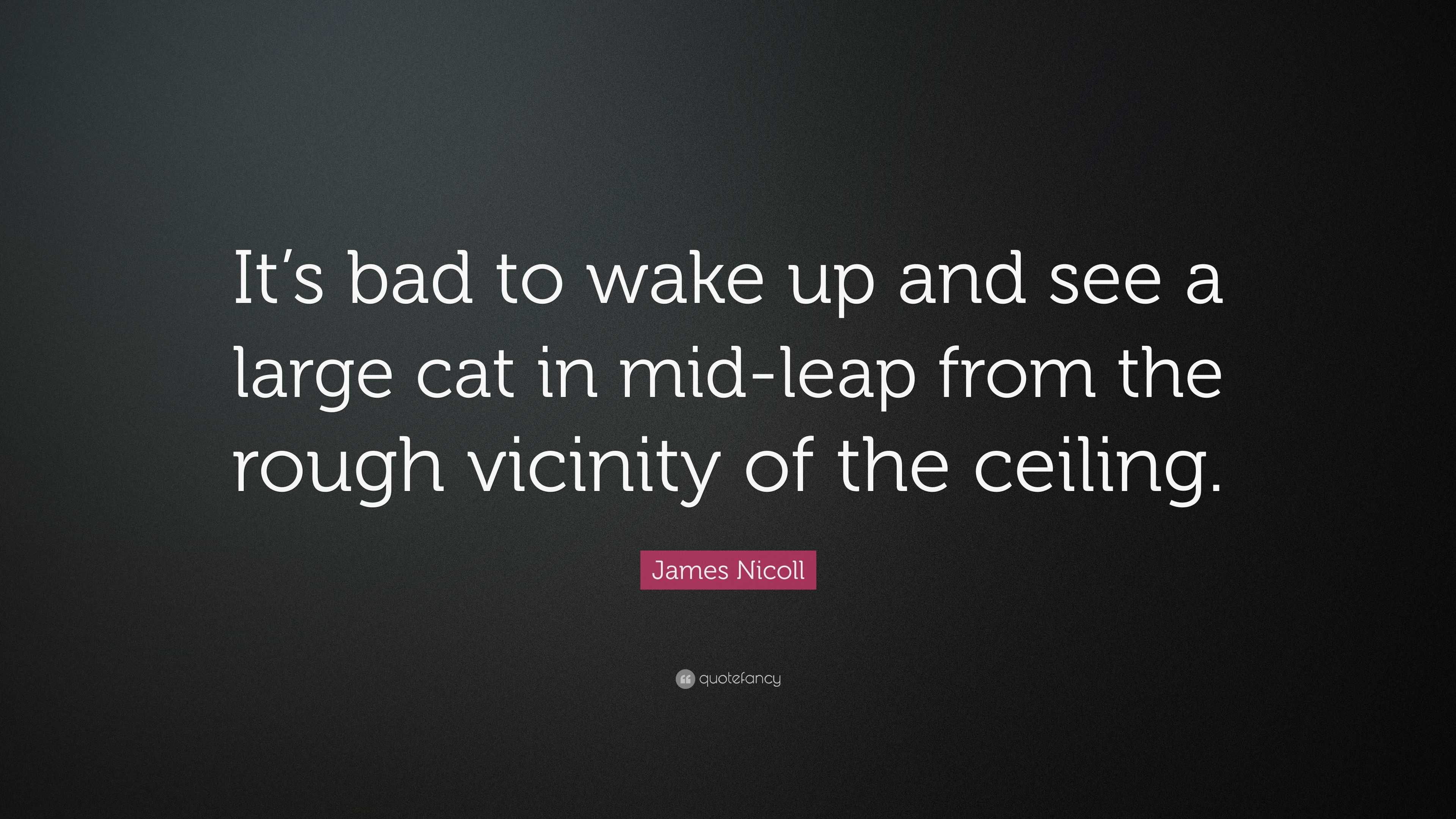 James Nicoll Quote: “It’s bad to wake up and see a large cat in mid ...