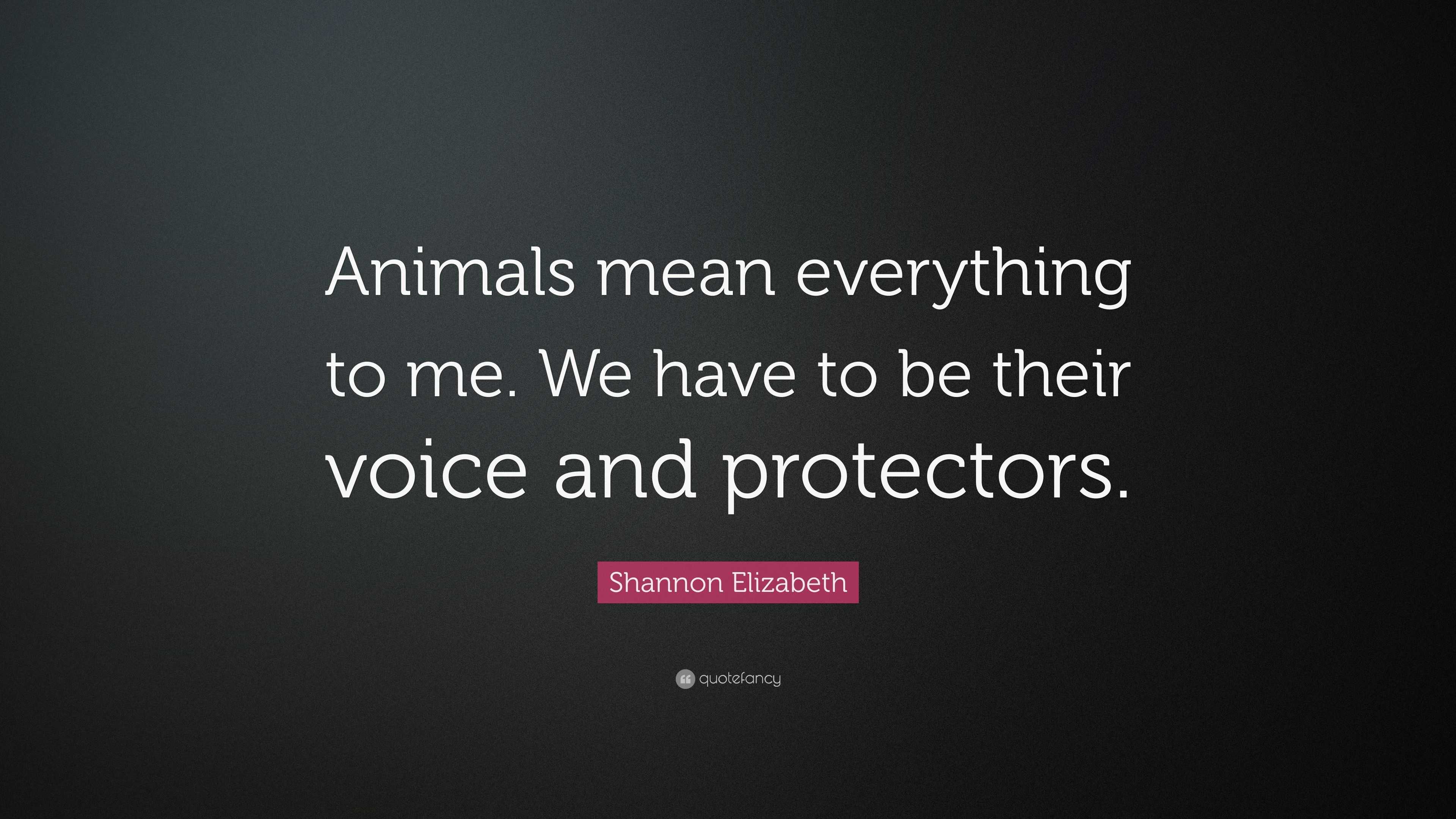 Shannon Elizabeth Quote: “Animals mean everything to me. We have to be ...