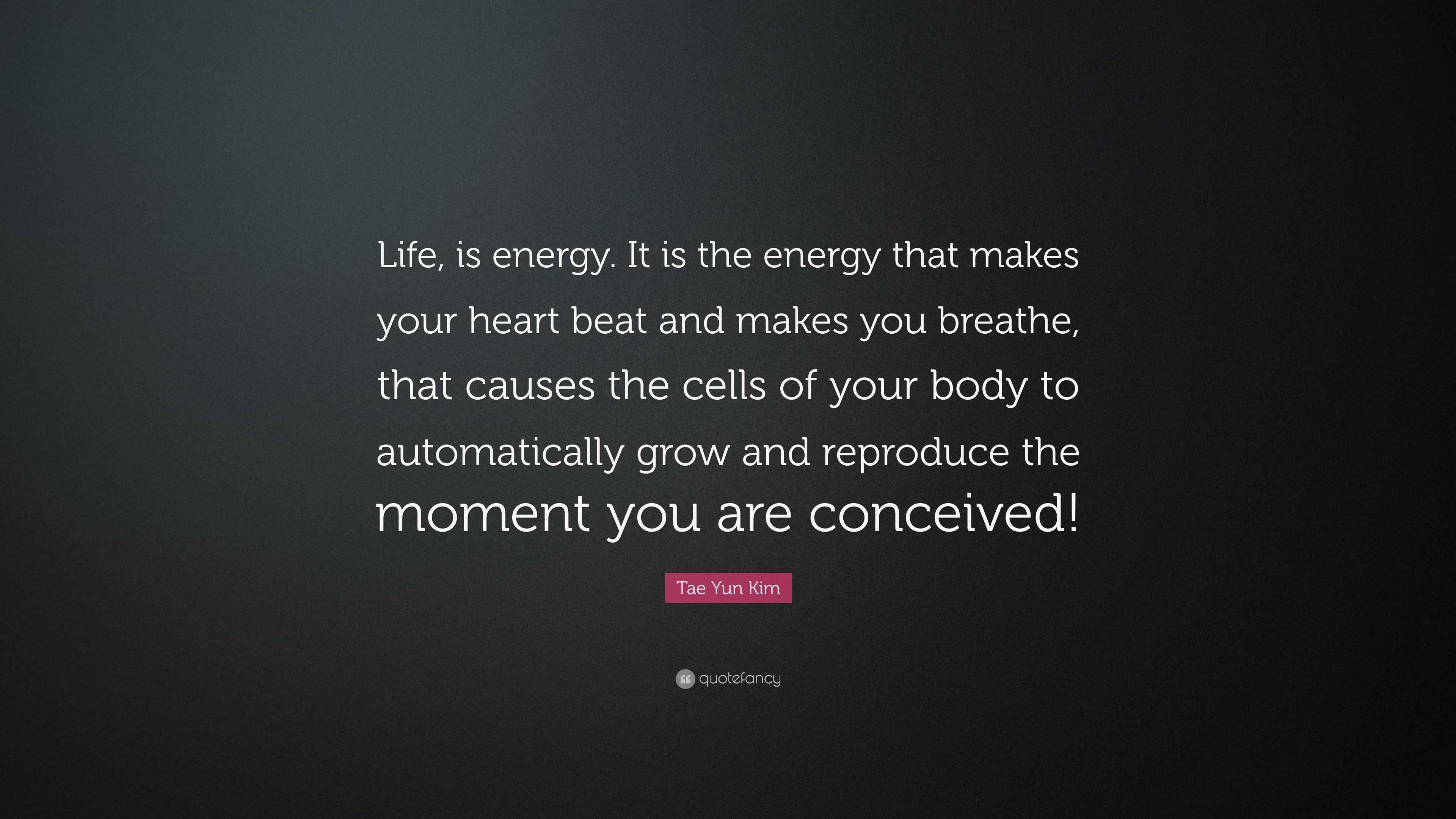 Tae Yun Kim Quote: “Life, is energy. It is the energy that makes your ...