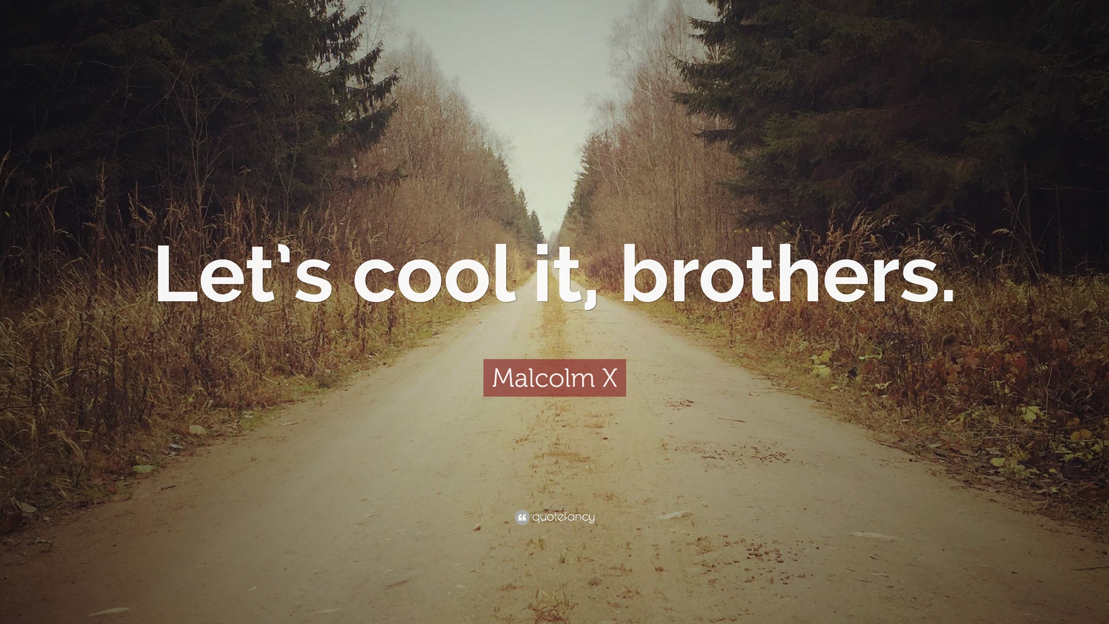 Malcolm X Quote  Let  s cool  it brothers  12 wallpapers 