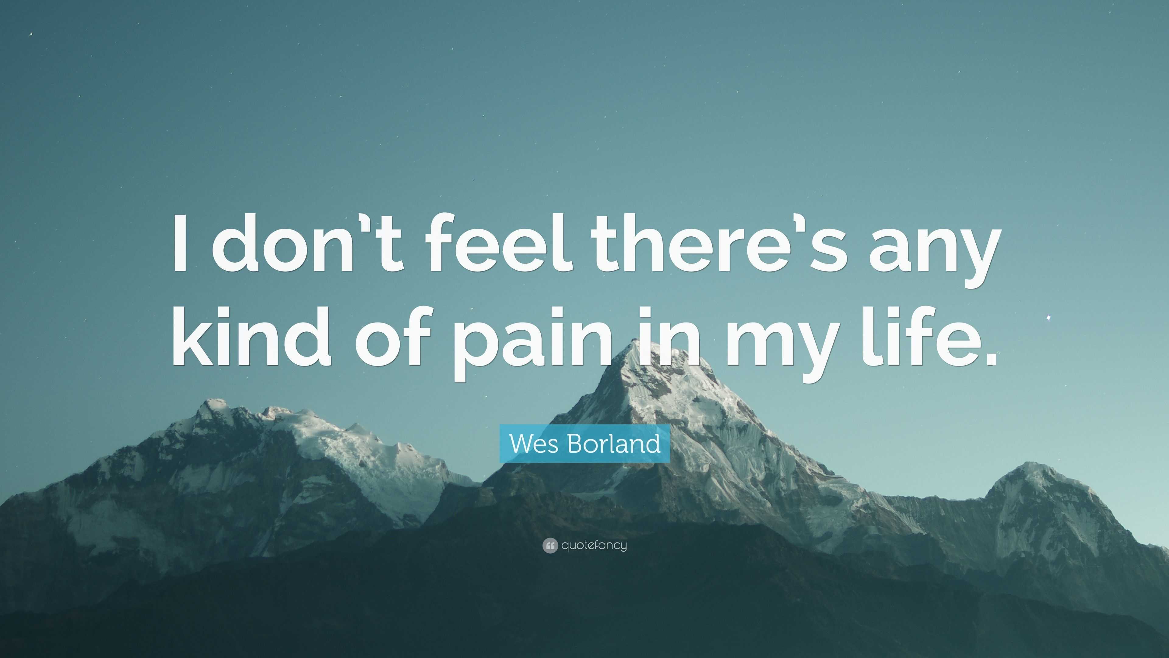 Wes Borland Quote: “i Don’t Feel There’s Any Kind Of Pain In My Life.”