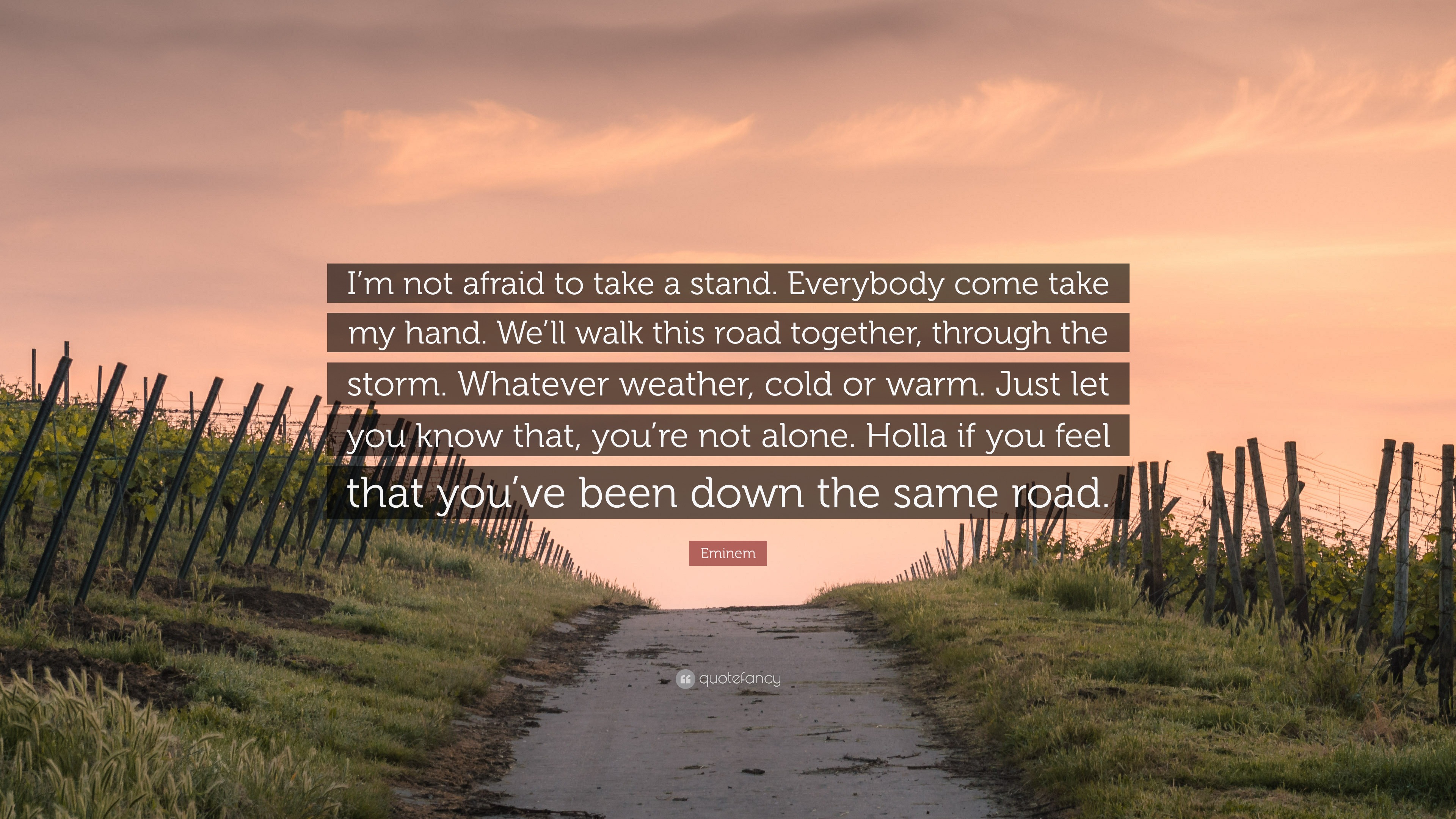 Eminem Quote: “I'm not afraid to take a stand. Everybody come take my hand.  We'll walk this road together, through the storm. Whatever ...”