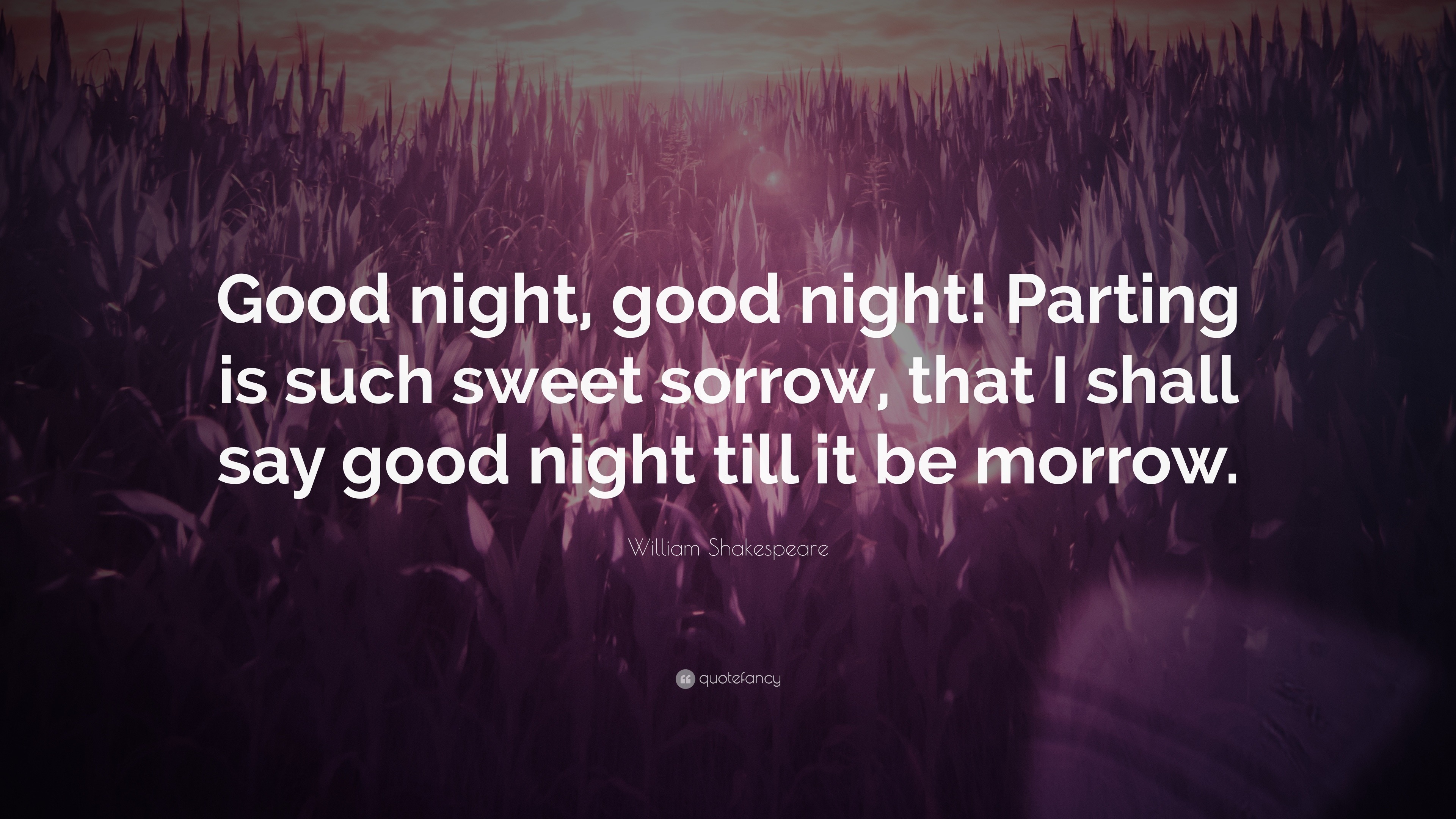 William Shakespeare Quote Good Night Good Night Parting Is Such Sweet Sorrow