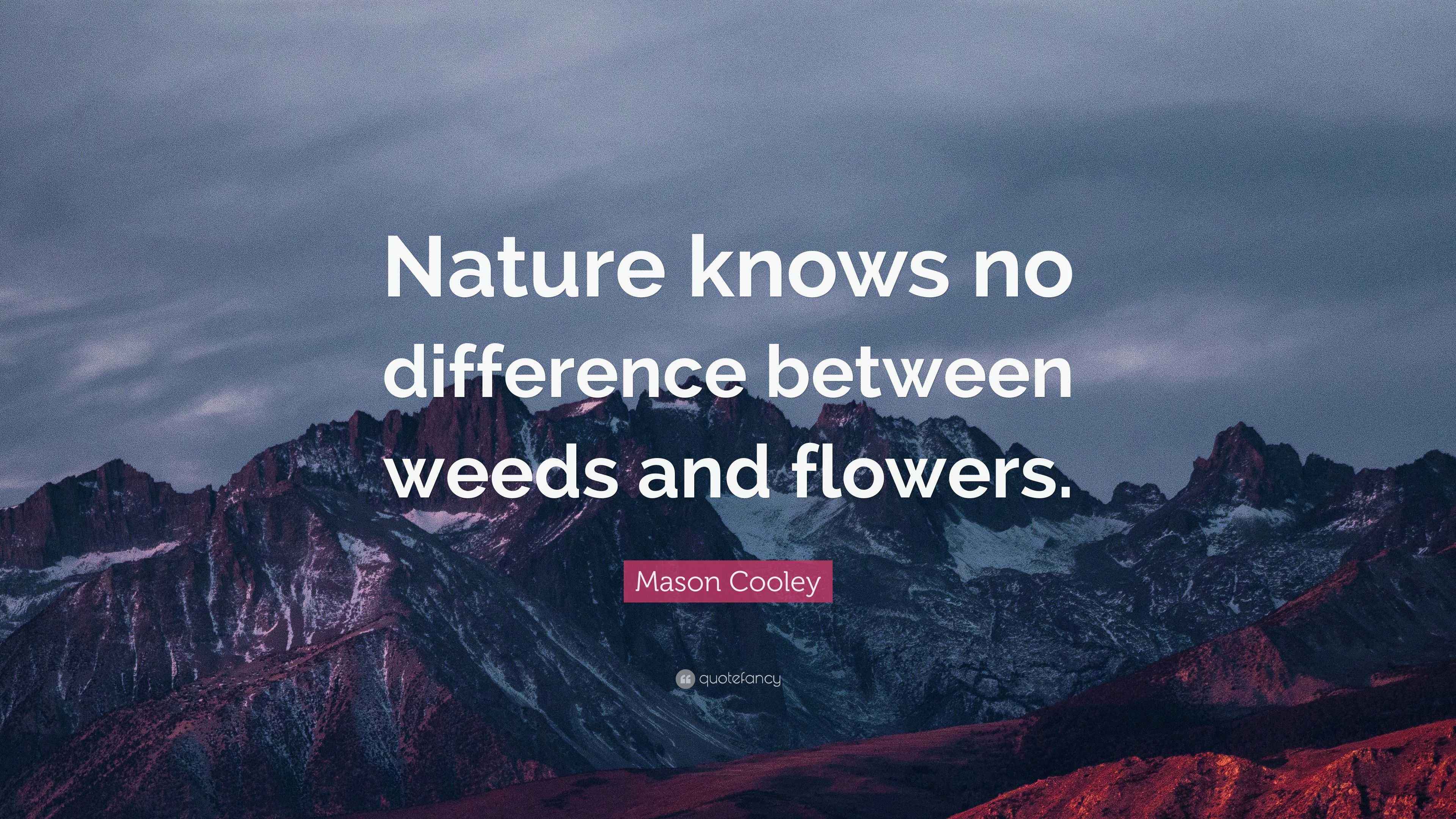 Mason Cooley Quote “Nature knows no difference between weeds and flowers.”