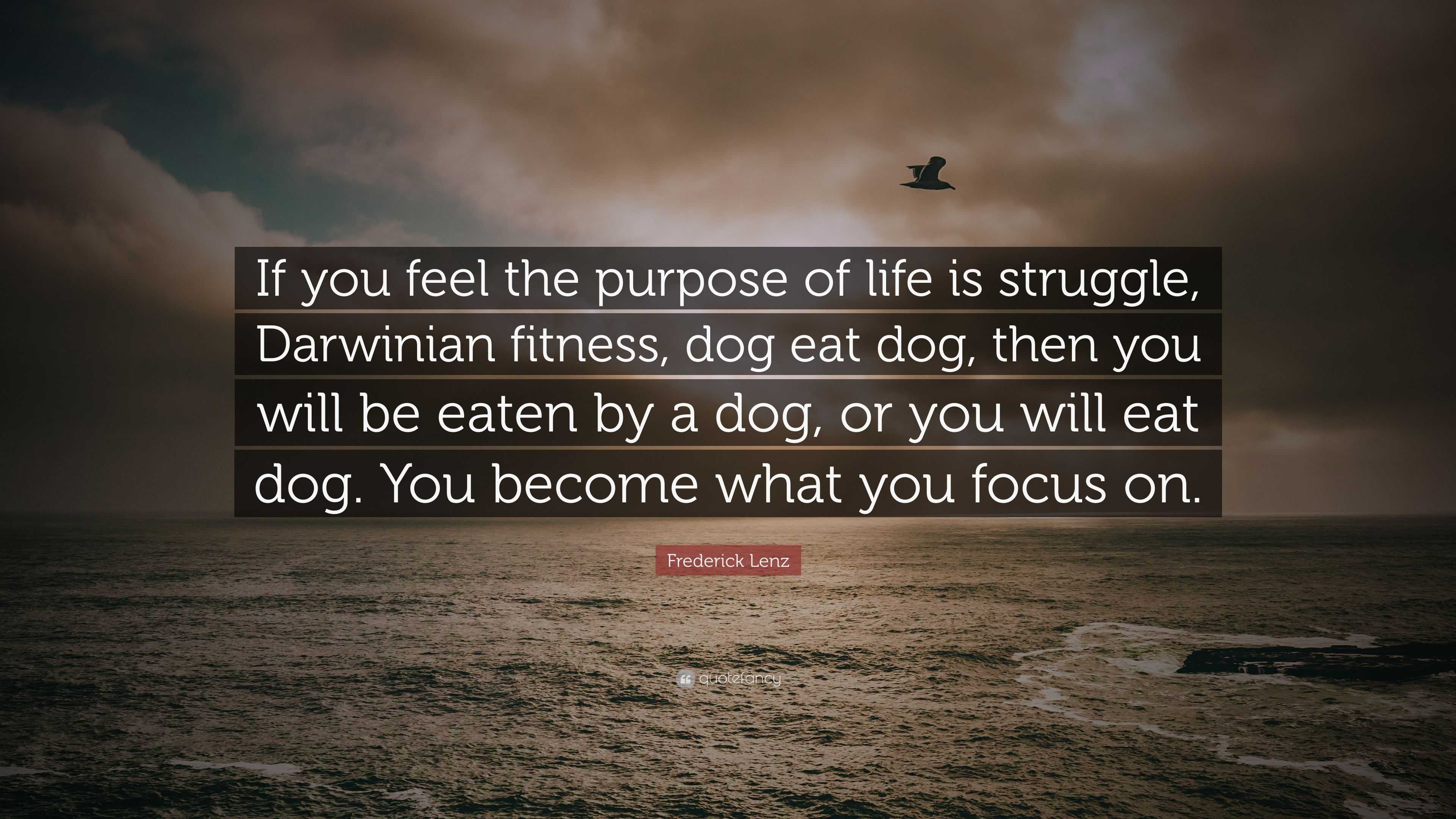 Frederick Lenz Quote: “If you feel the purpose of life is struggle,  Darwinian fitness, dog eat dog, then you will be eaten by a dog, or you  wil...”