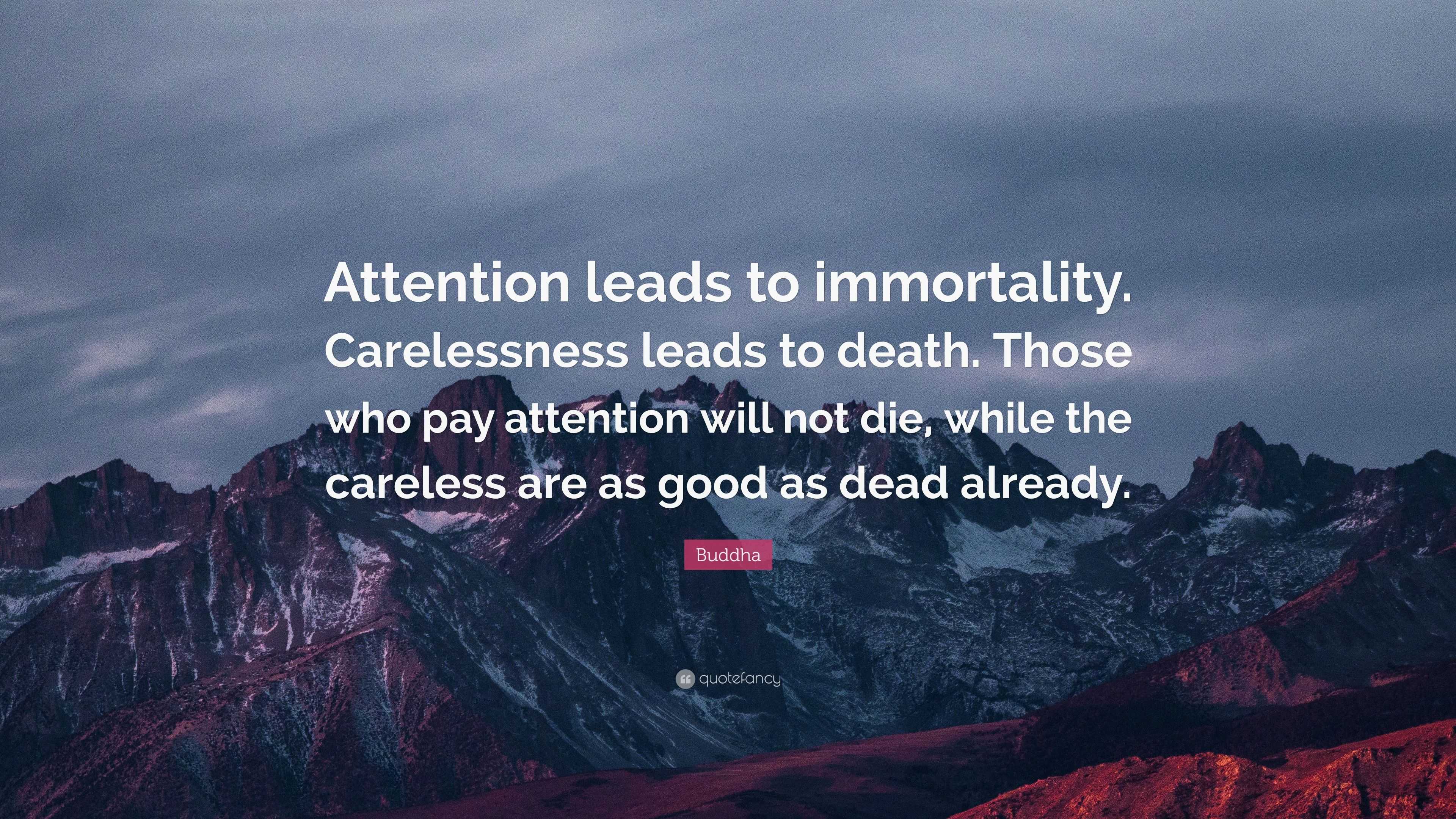 Buddha Quote: “Attention leads to immortality. Carelessness leads to ...