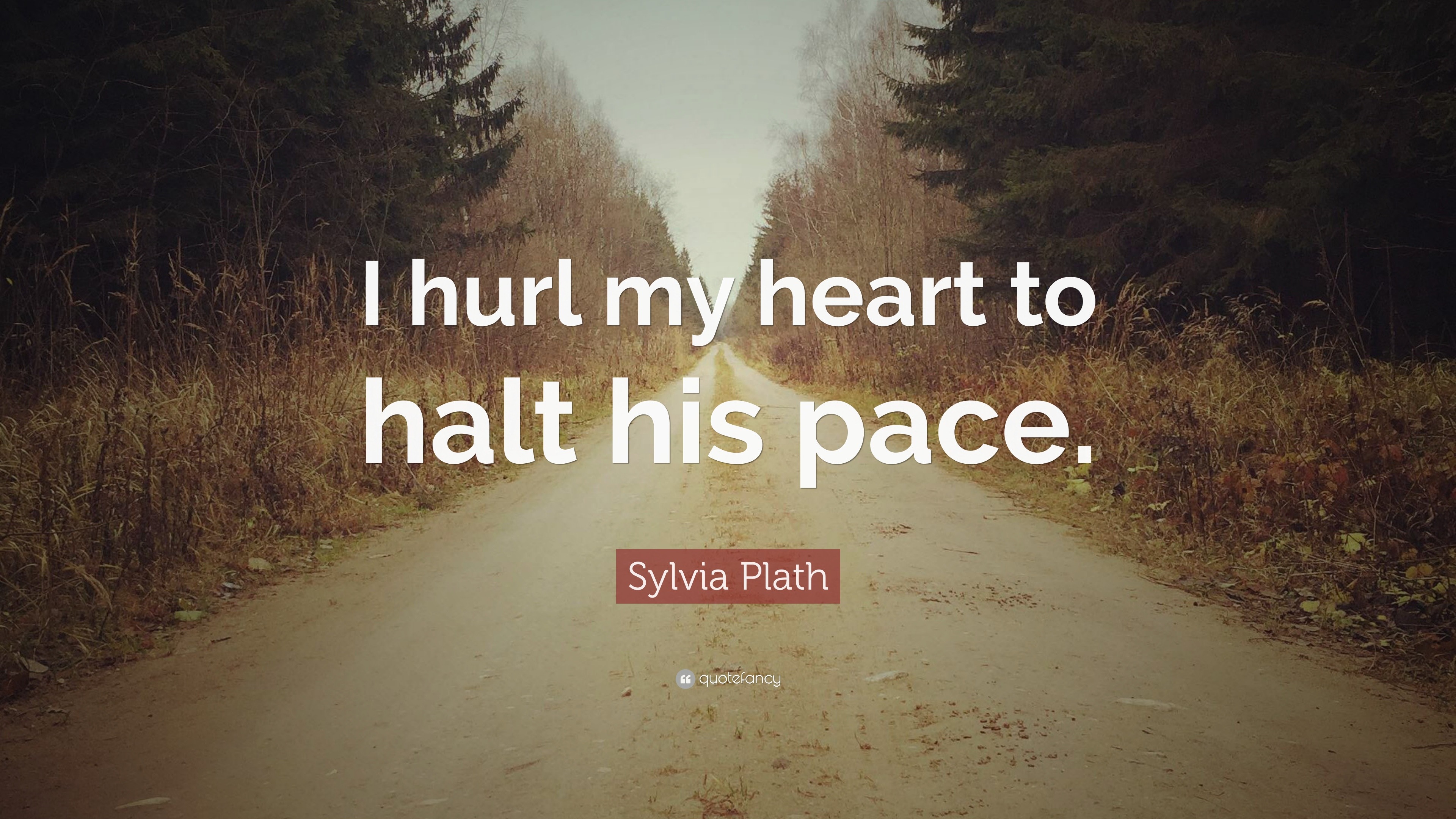 Sylvia Plath Quote: “I hurl my heart to halt his pace.”