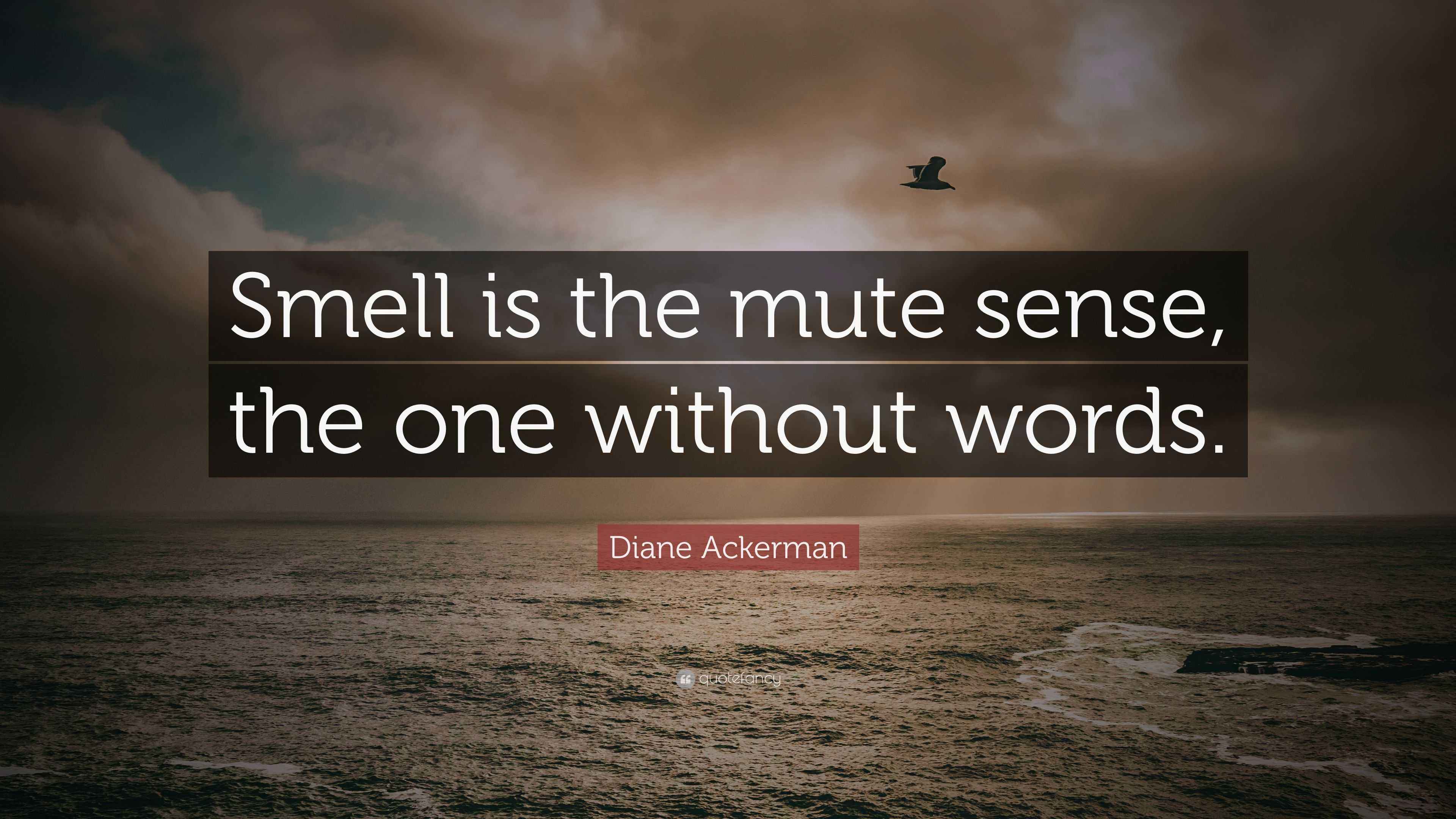 Diane Ackerman Quote “Smell is the mute sense, the one without words.”