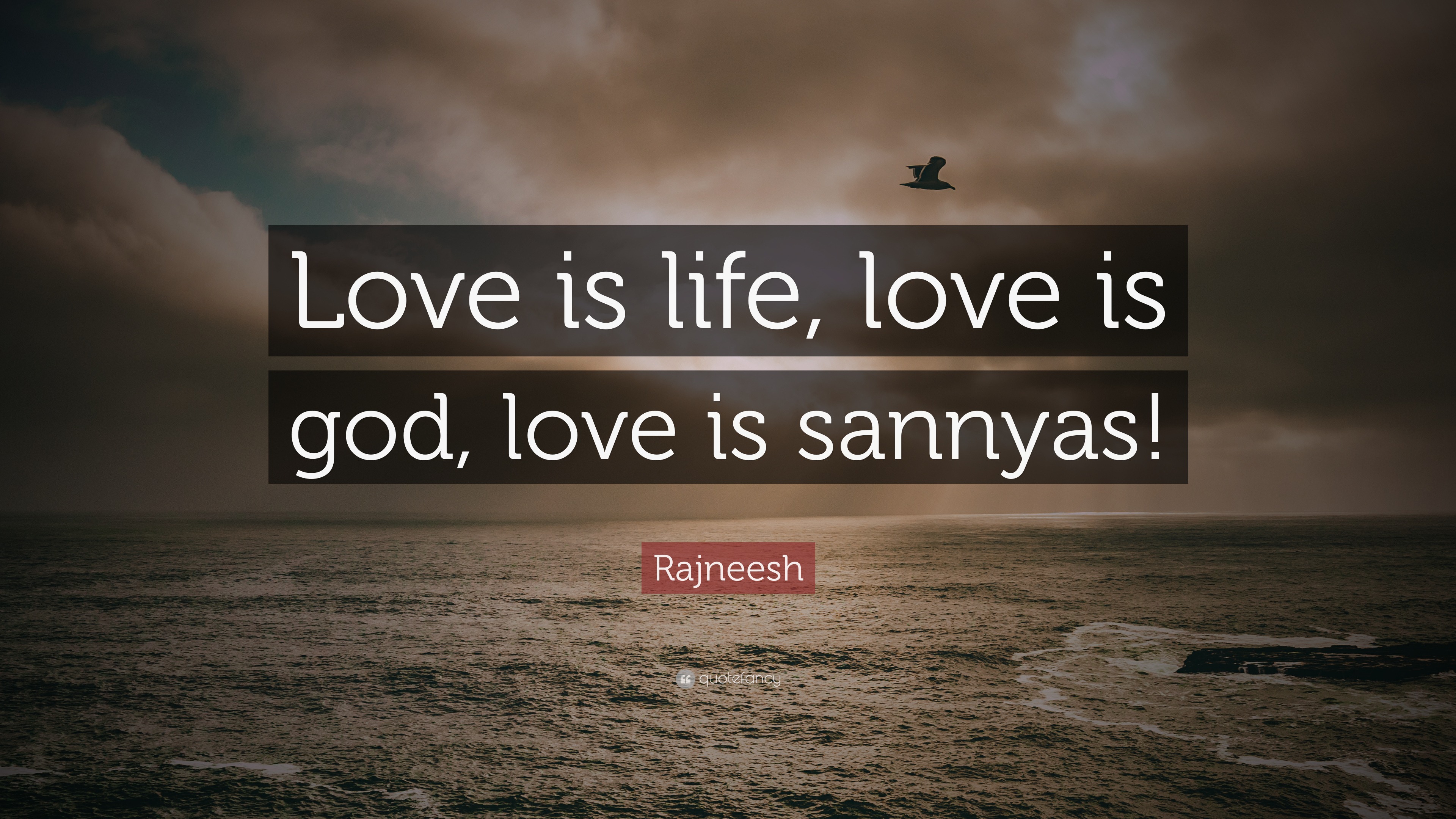 Rajneesh Quote “Love is life love is god love is sannyas