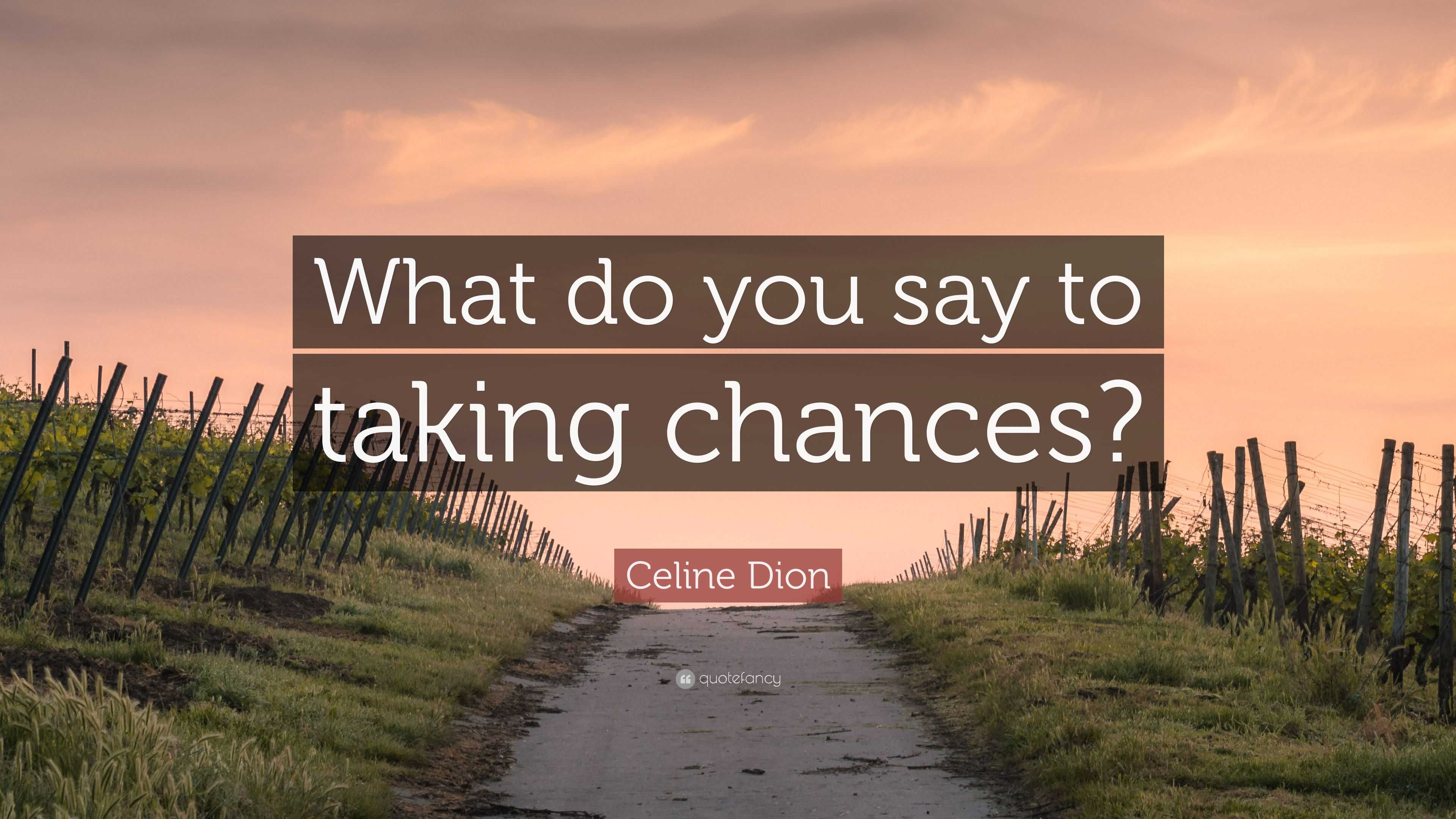 Celine Dion Quote  What do you say to taking  chances  