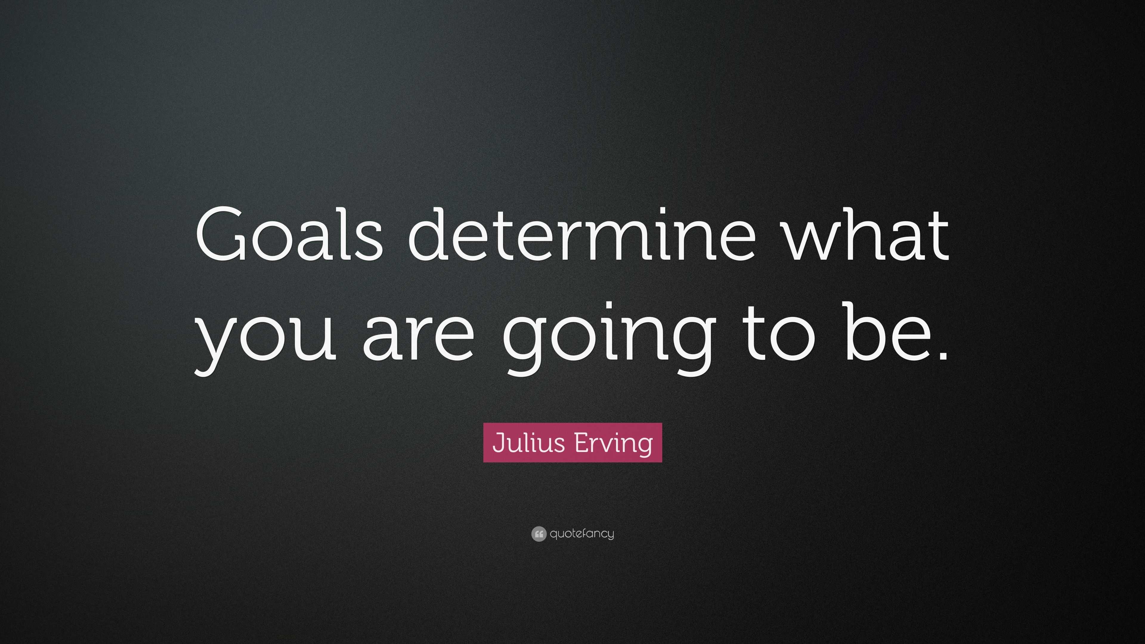 Julius Erving Quote: “Goals determine what you are going to be.”