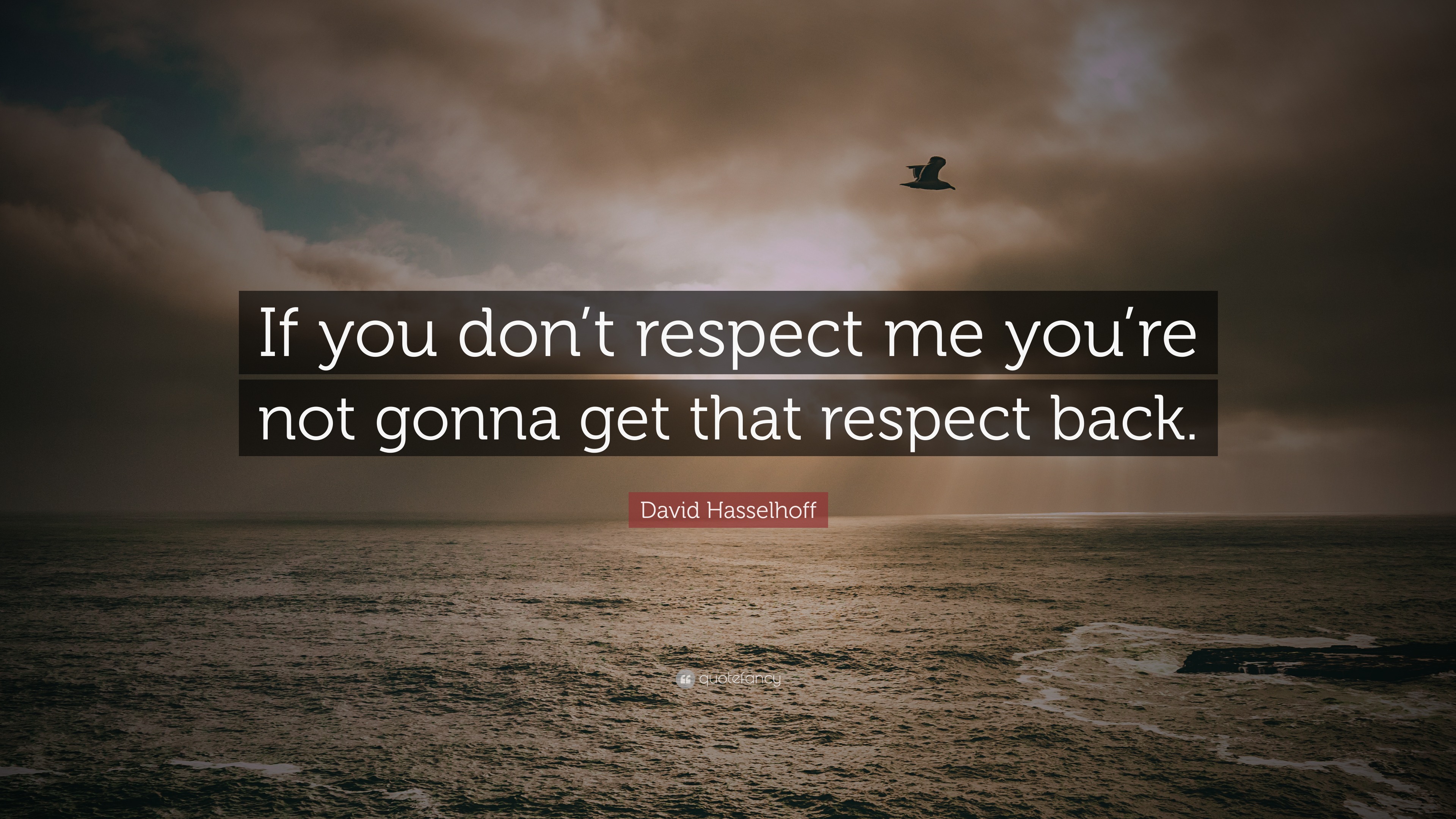 David Hasselhoff Quote “if You Dont Respect Me Youre Not Gonna Get