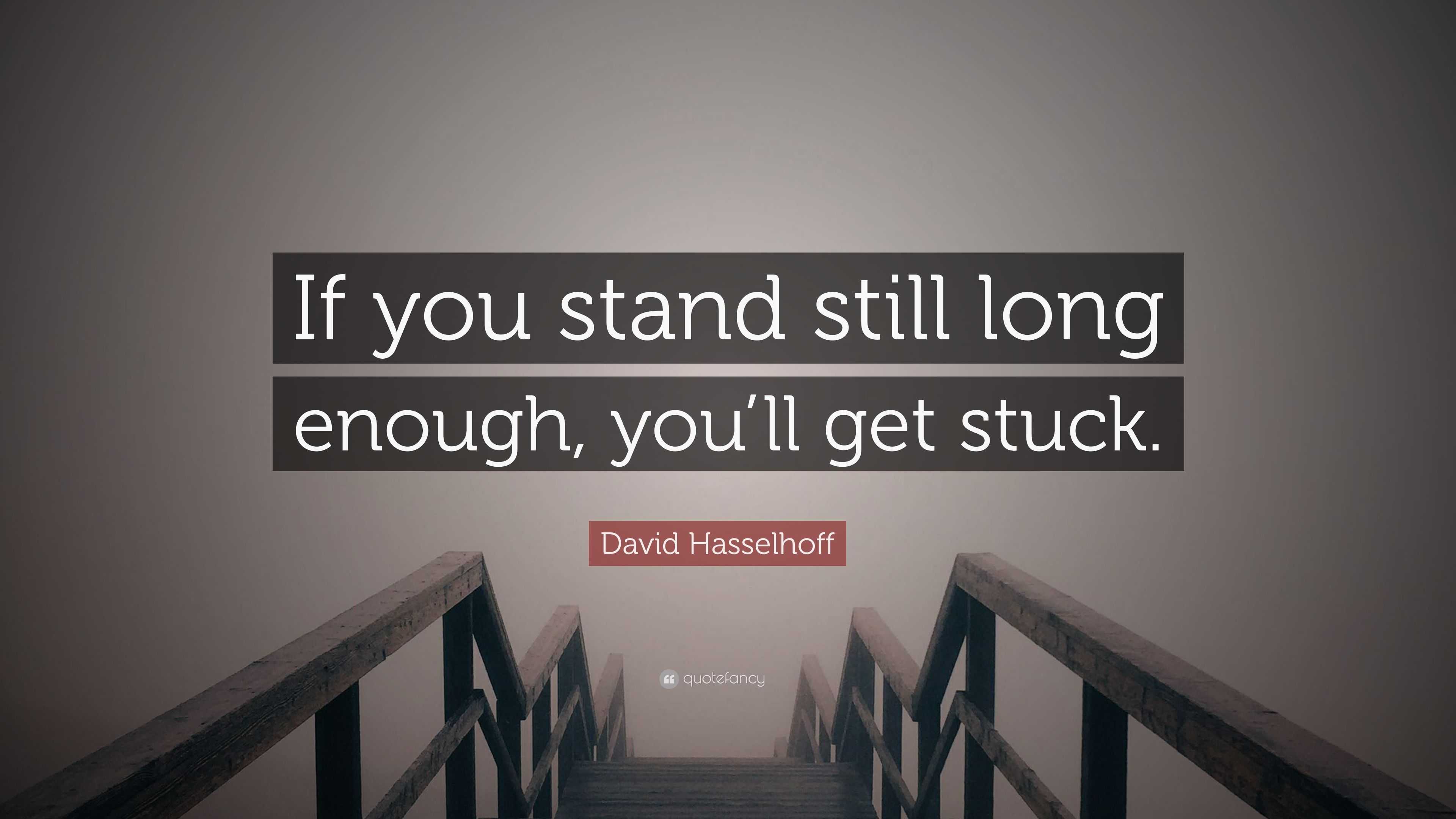 David Hasselhoff Quote “If you stand still long enough, you’ll get stuck.”